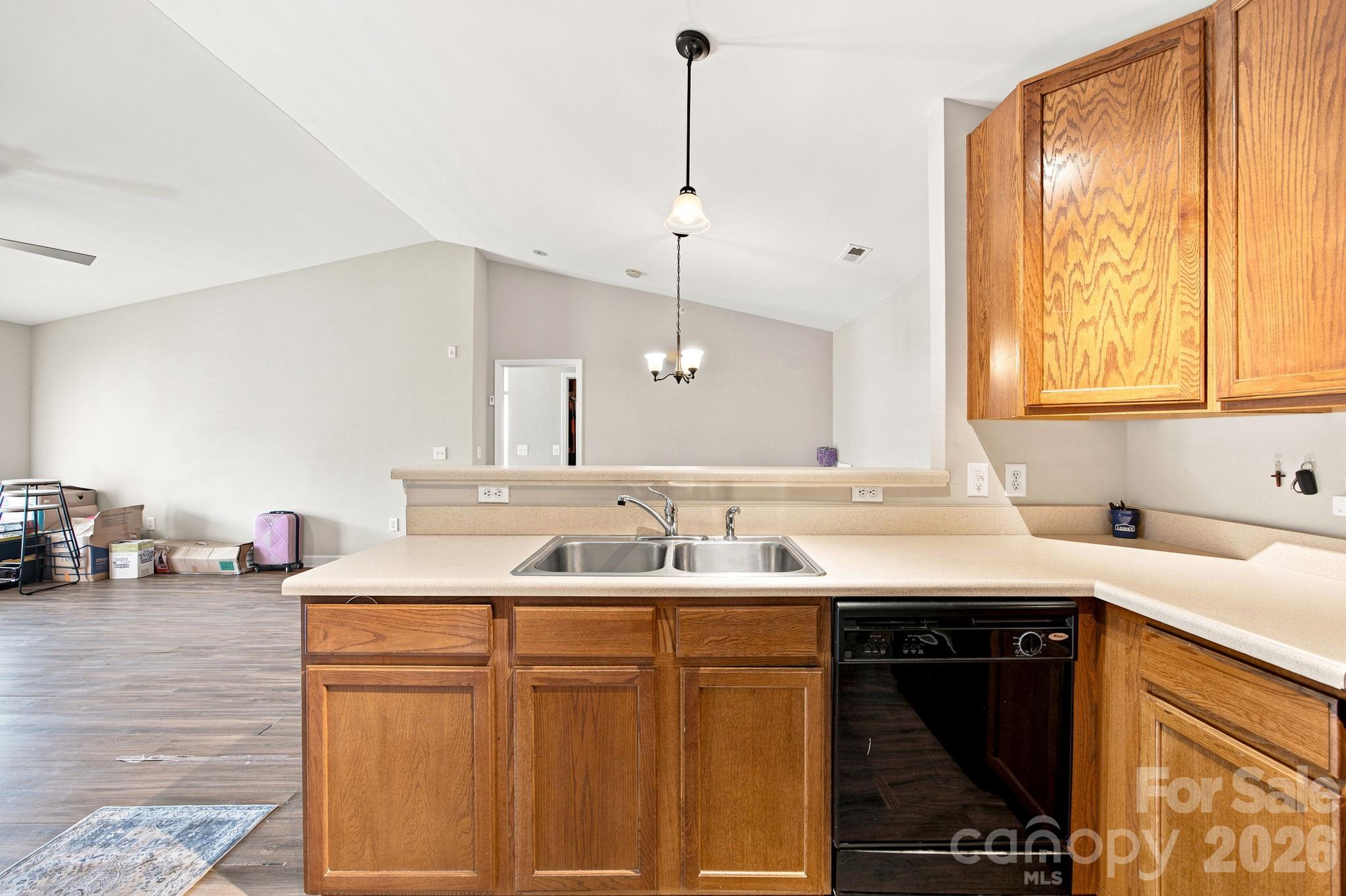 17257 Doe Valley Court — Cornelius