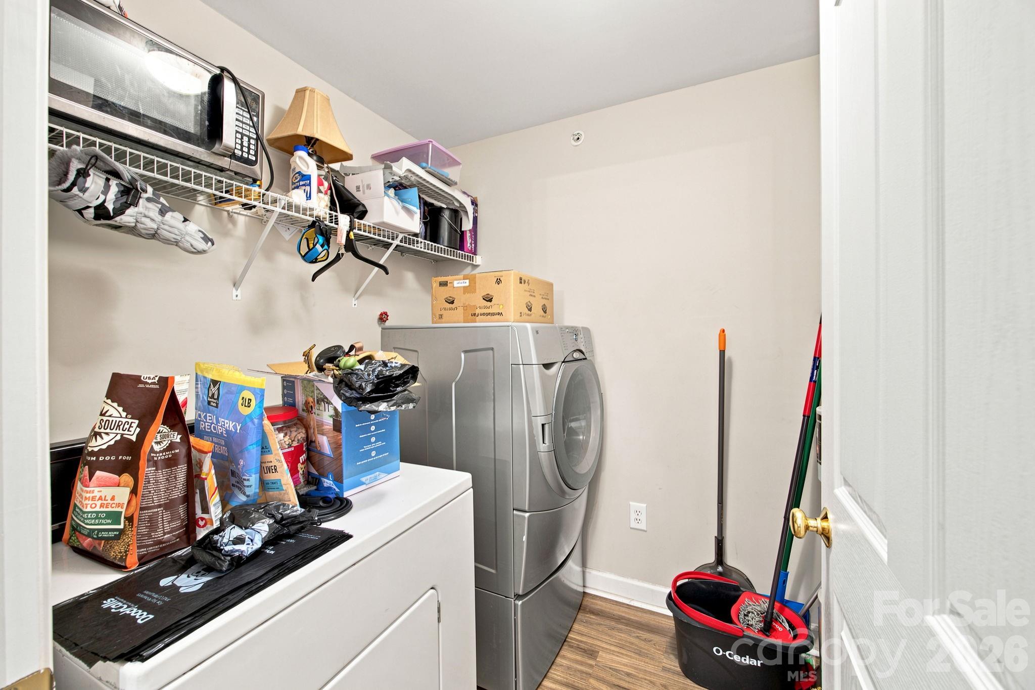 17257 Doe Valley Court — Cornelius
