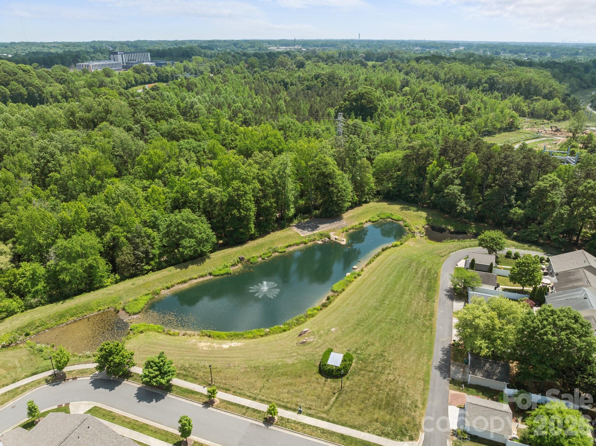 17257 Doe Valley Court — Cornelius