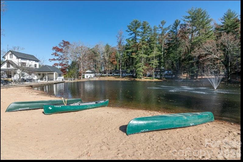 1150 W Blue Ridge Road — Flat Rock