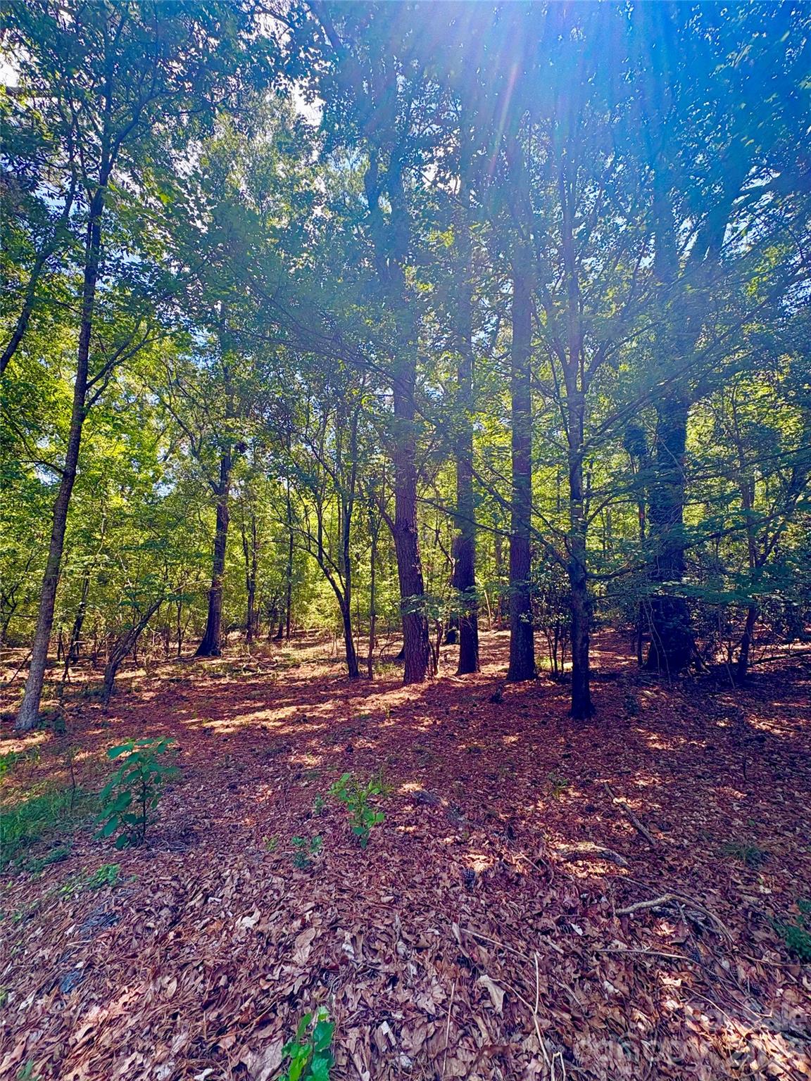 1801 Griffith Road — Monroe