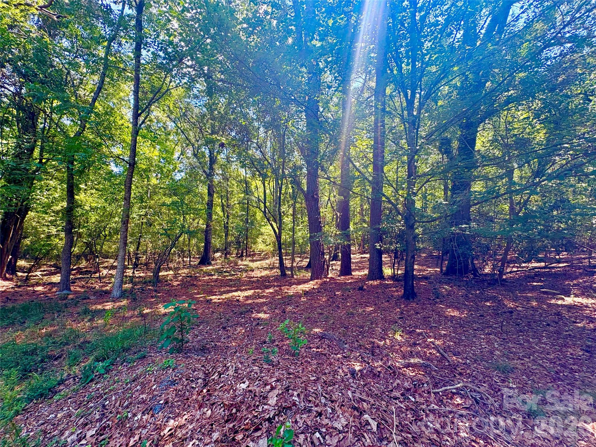 1801 Griffith Road — Monroe