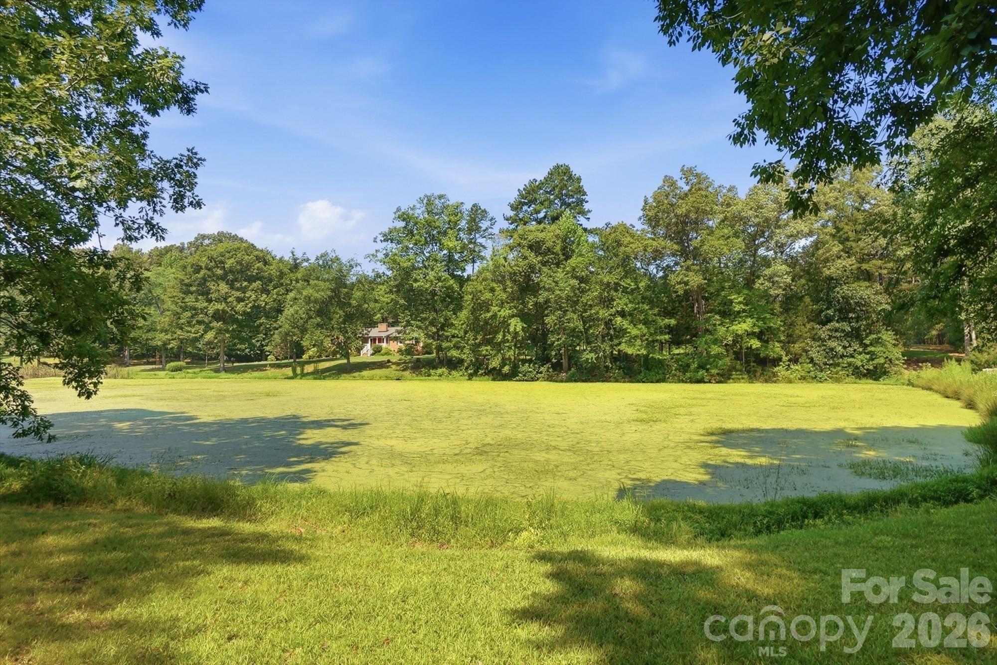 11060 Teresia Lane — Midland