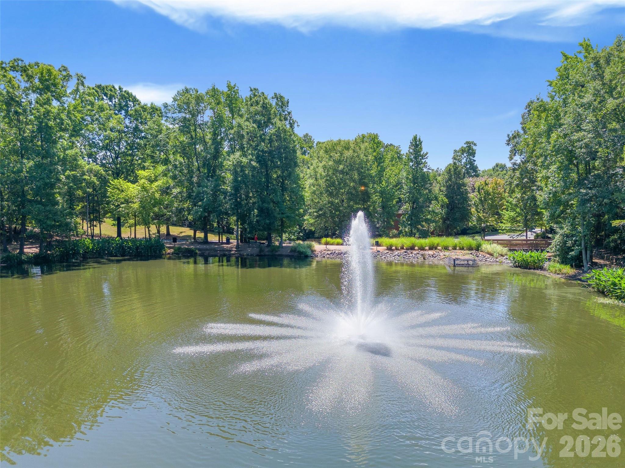 9516 Deer Spring Lane — Charlotte