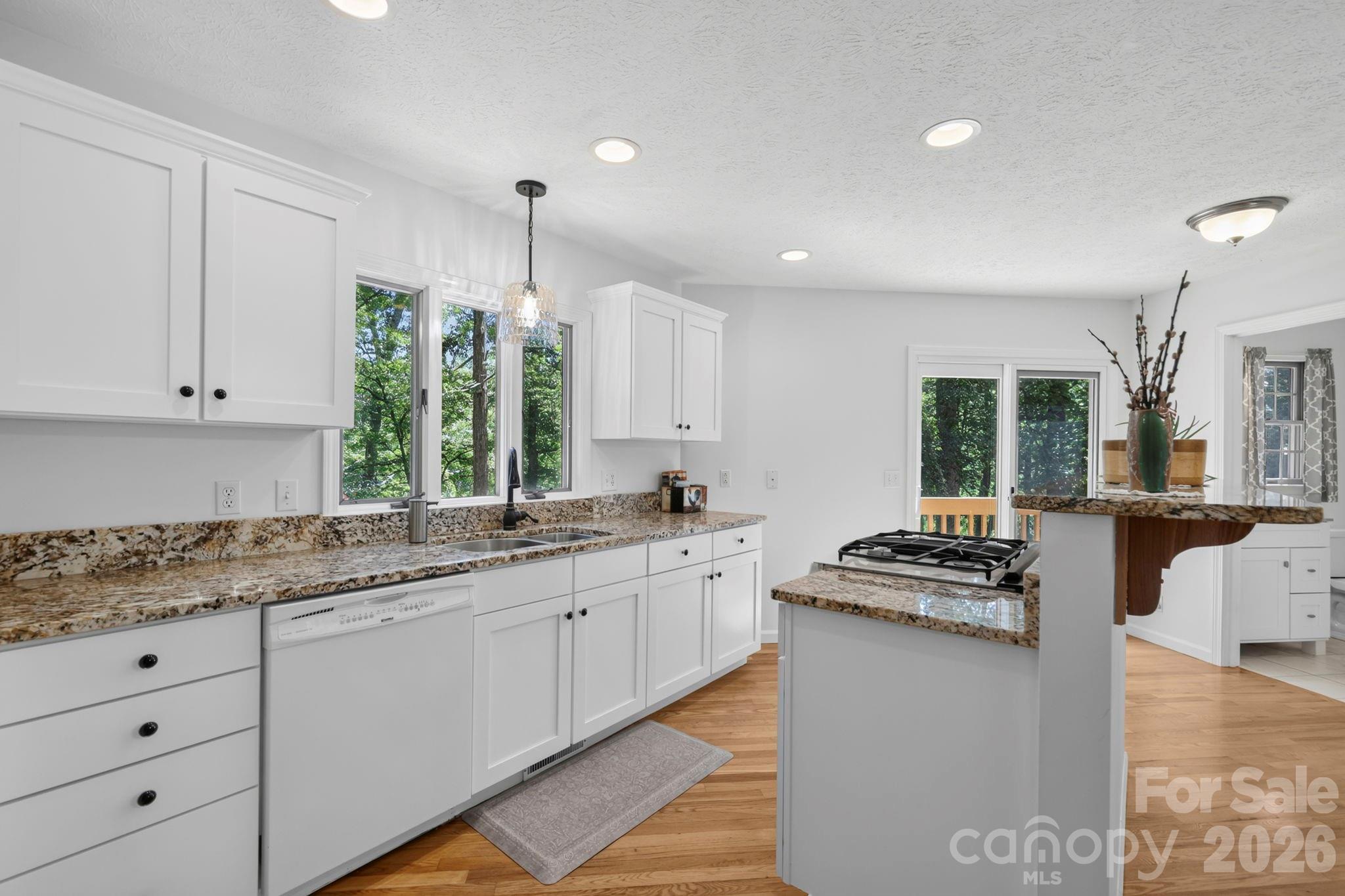 200 Newman Drive — Hendersonville