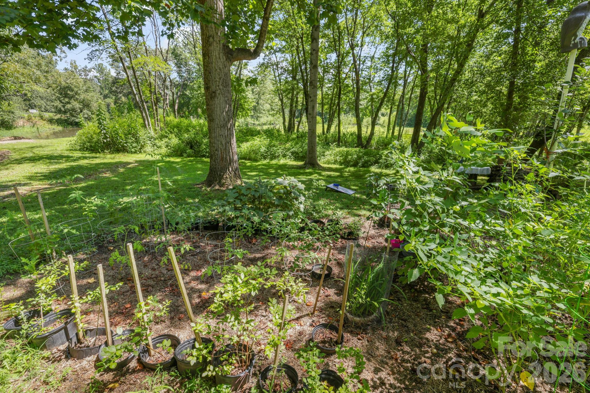 200 Newman Drive — Hendersonville