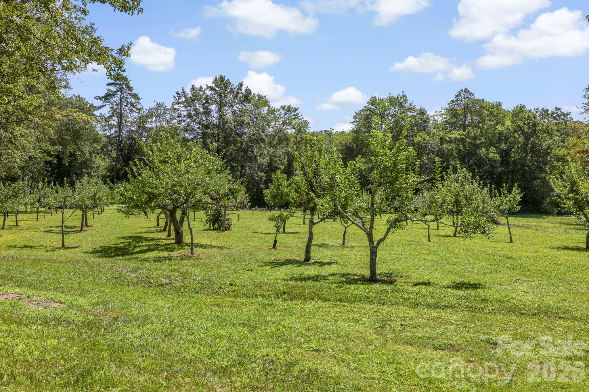 200 Newman Drive — Hendersonville