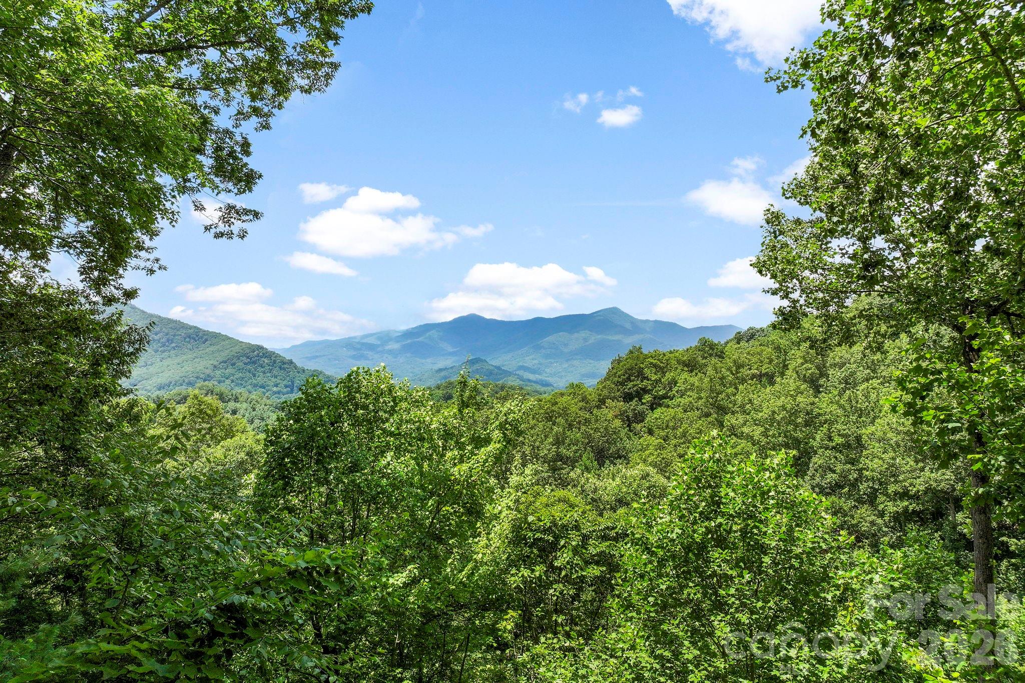 394 Hickory Drive — Waynesville