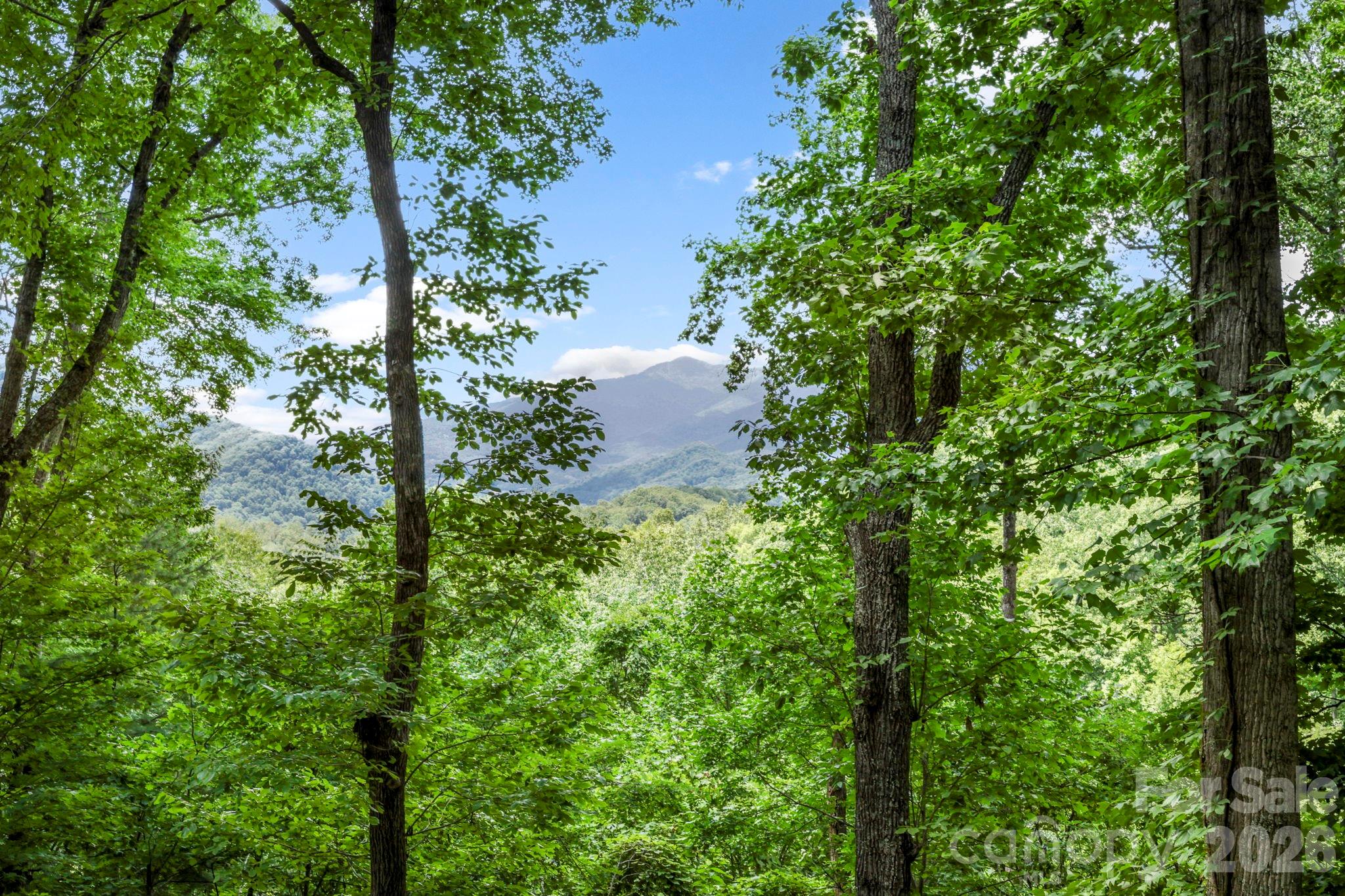 394 Hickory Drive — Waynesville
