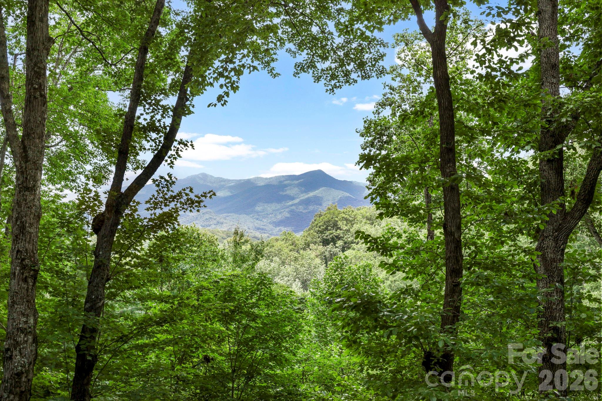 394 Hickory Drive — Waynesville