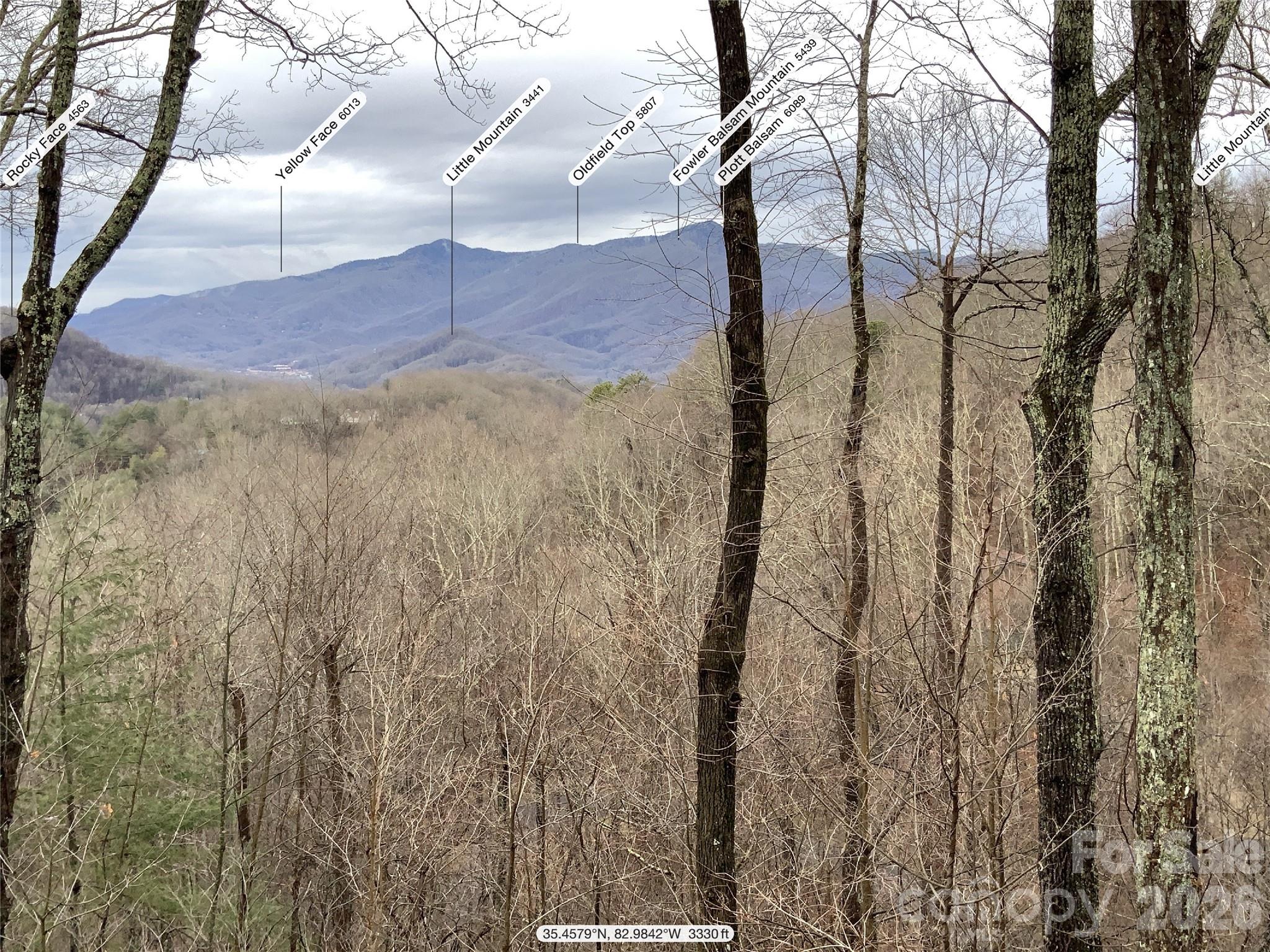 394 Hickory Drive — Waynesville