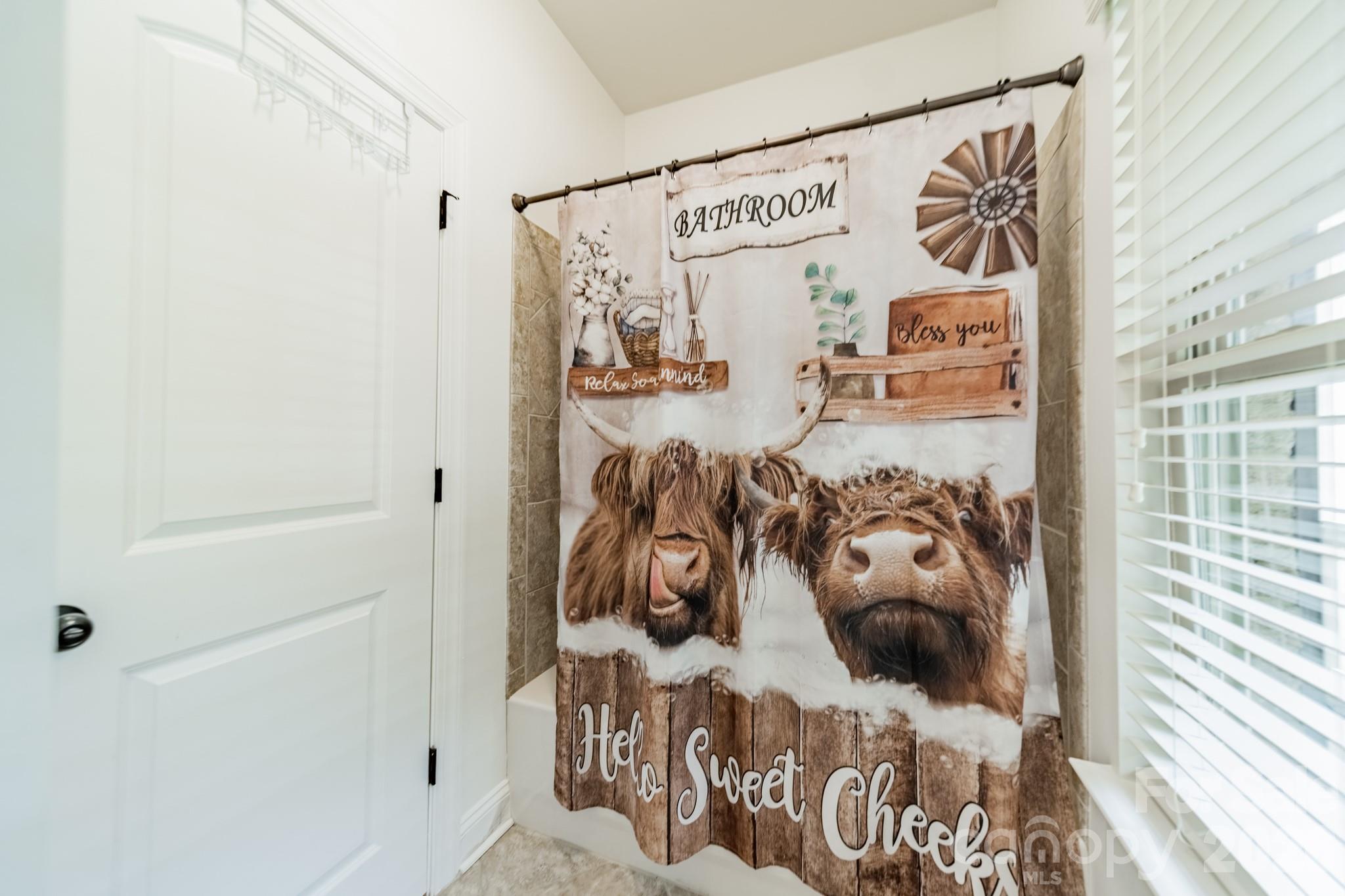 9052 Mossy Hill Lane — Fort Mill