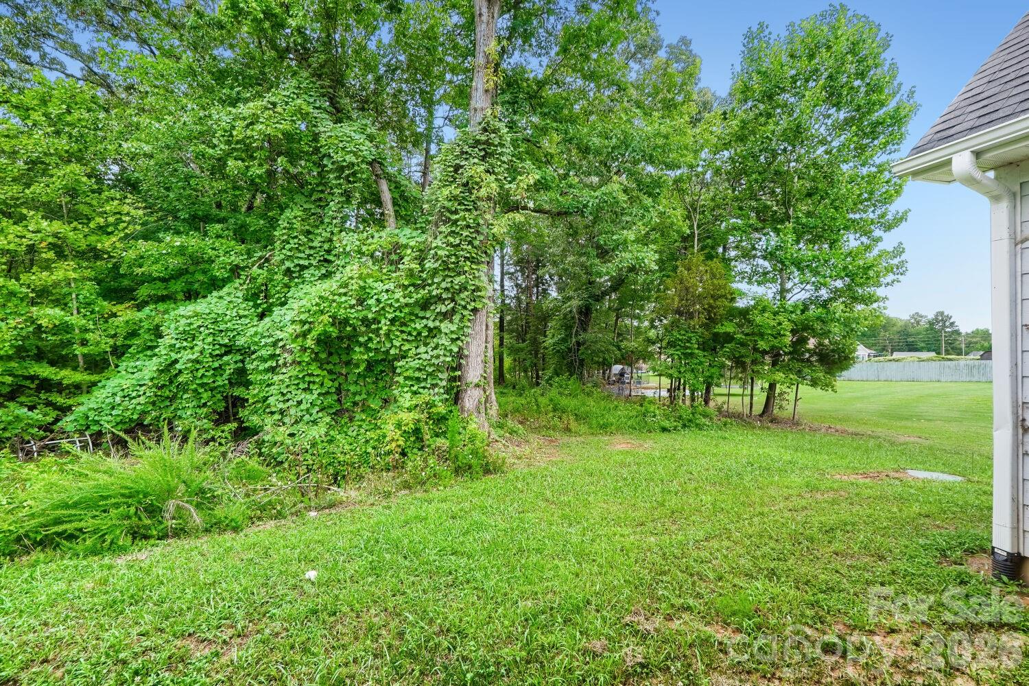 2358 Fay Jones Road — Denver