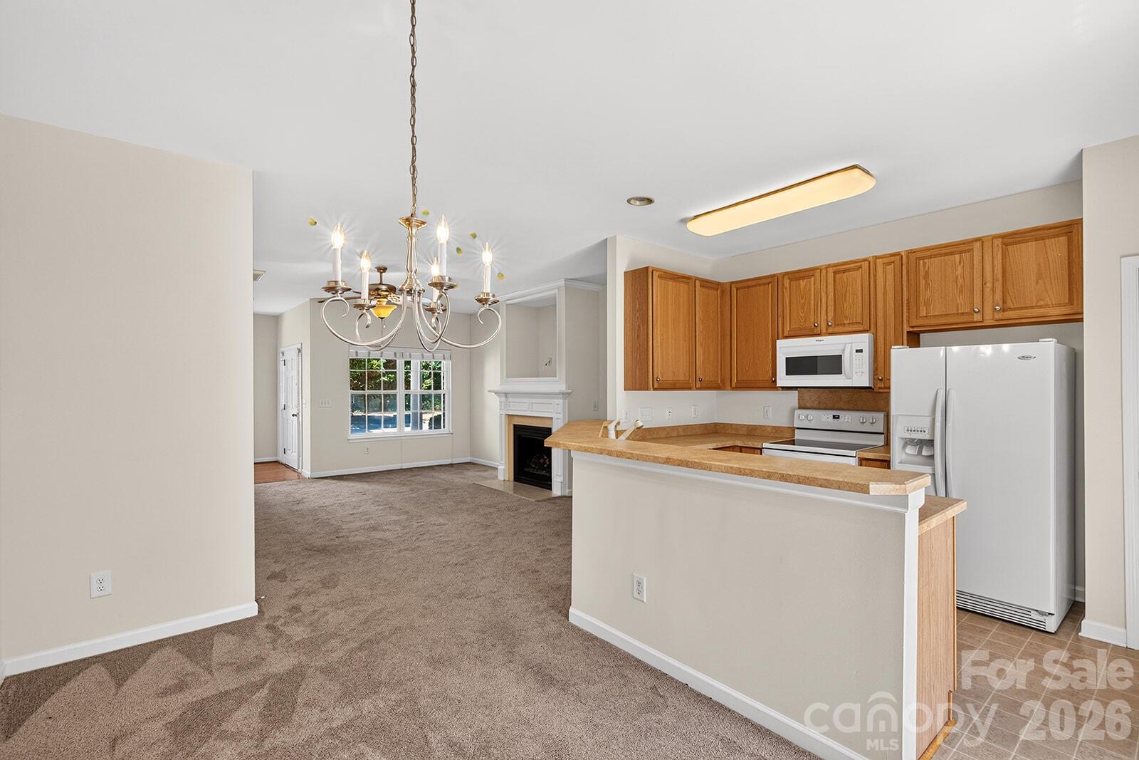 8618 Twined Creek Lane — Charlotte