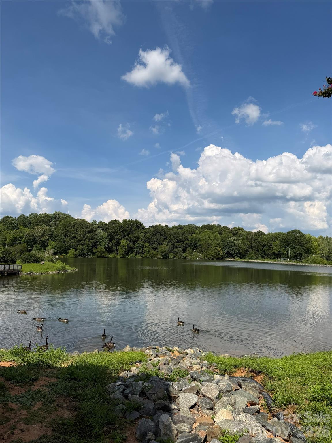 5839 Harris Grove Lane — Charlotte