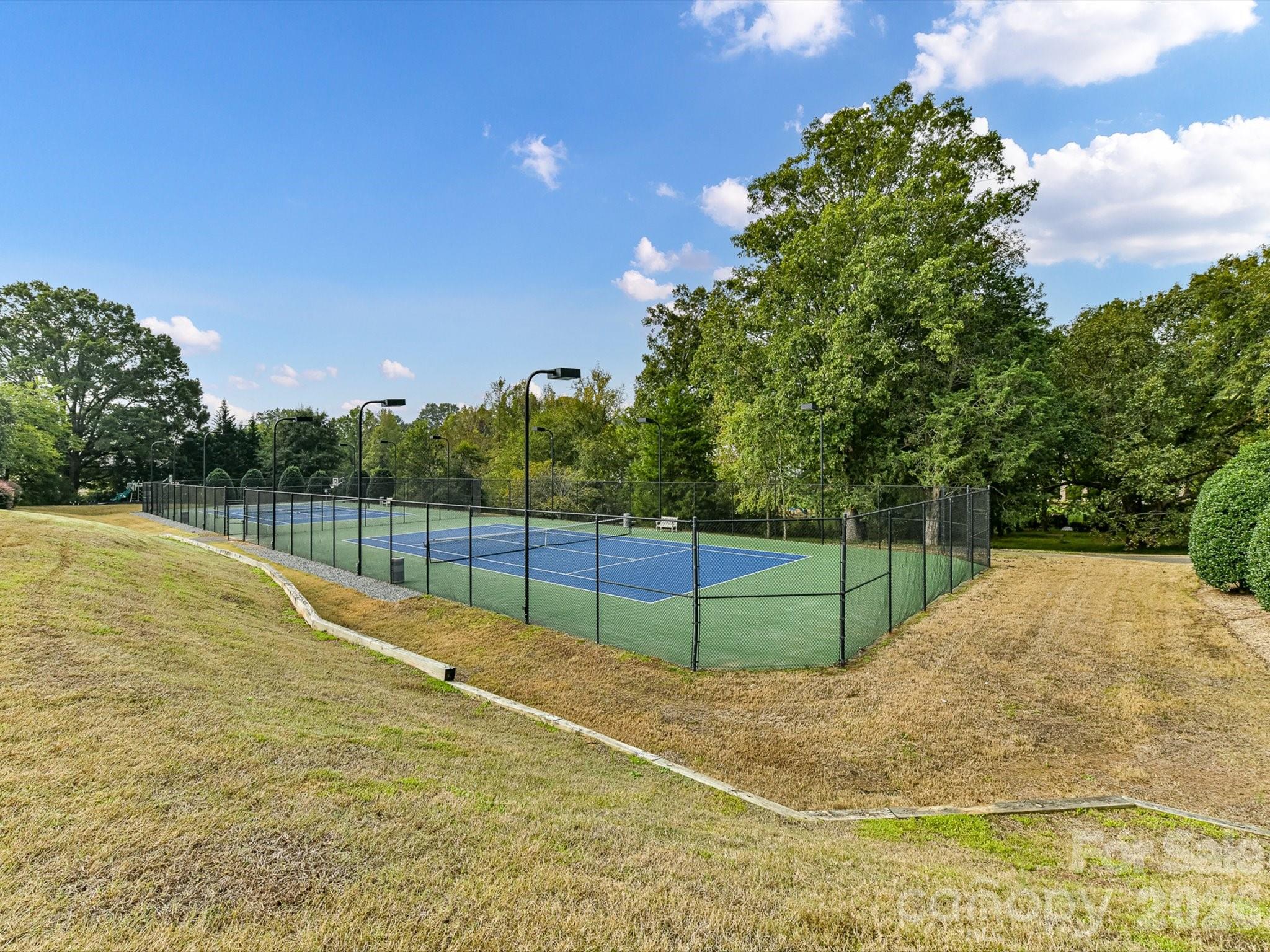8119 Skyecroft Commons Drive — Waxhaw