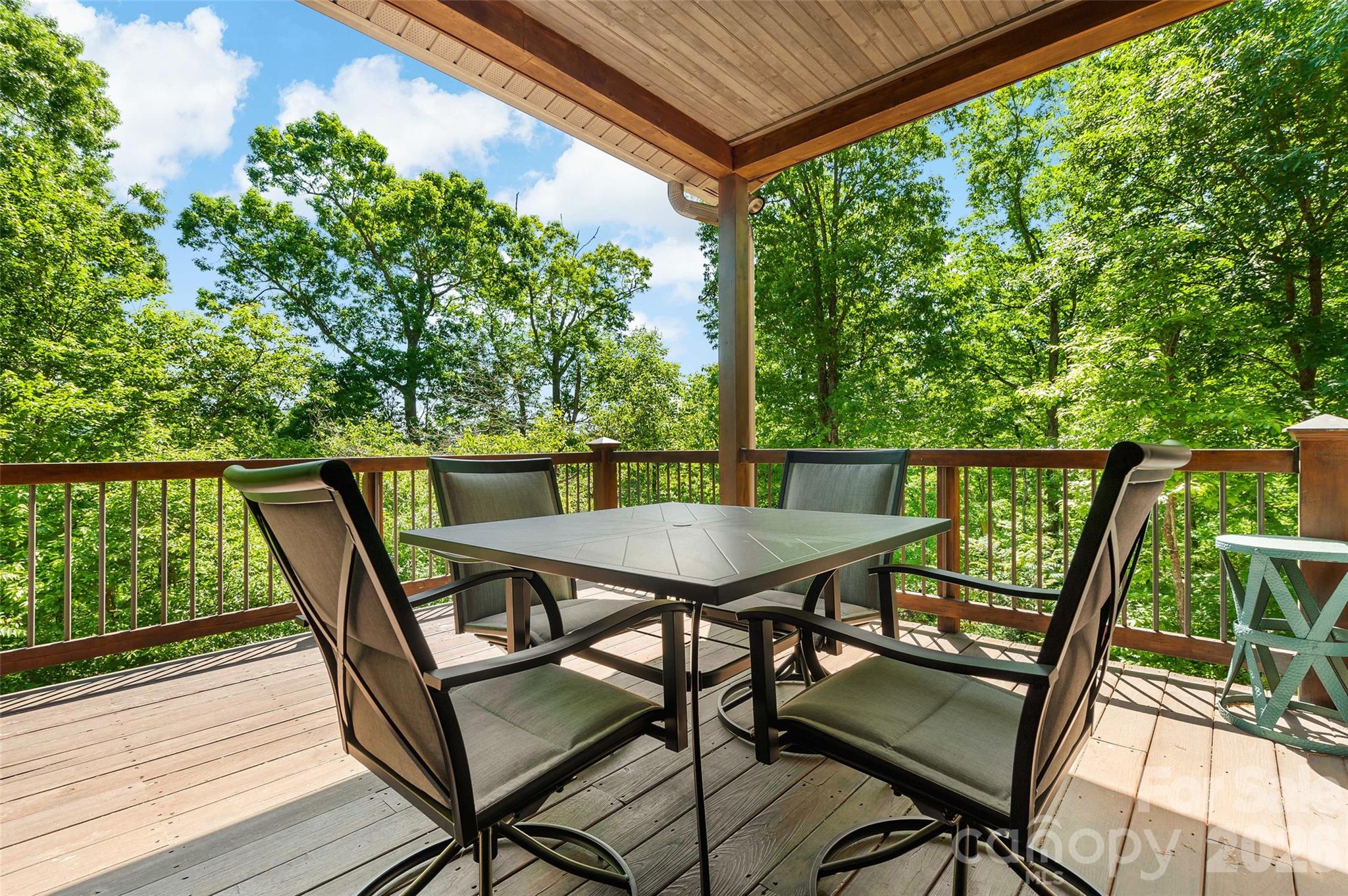 179 Rock Spring Road — Lake Lure