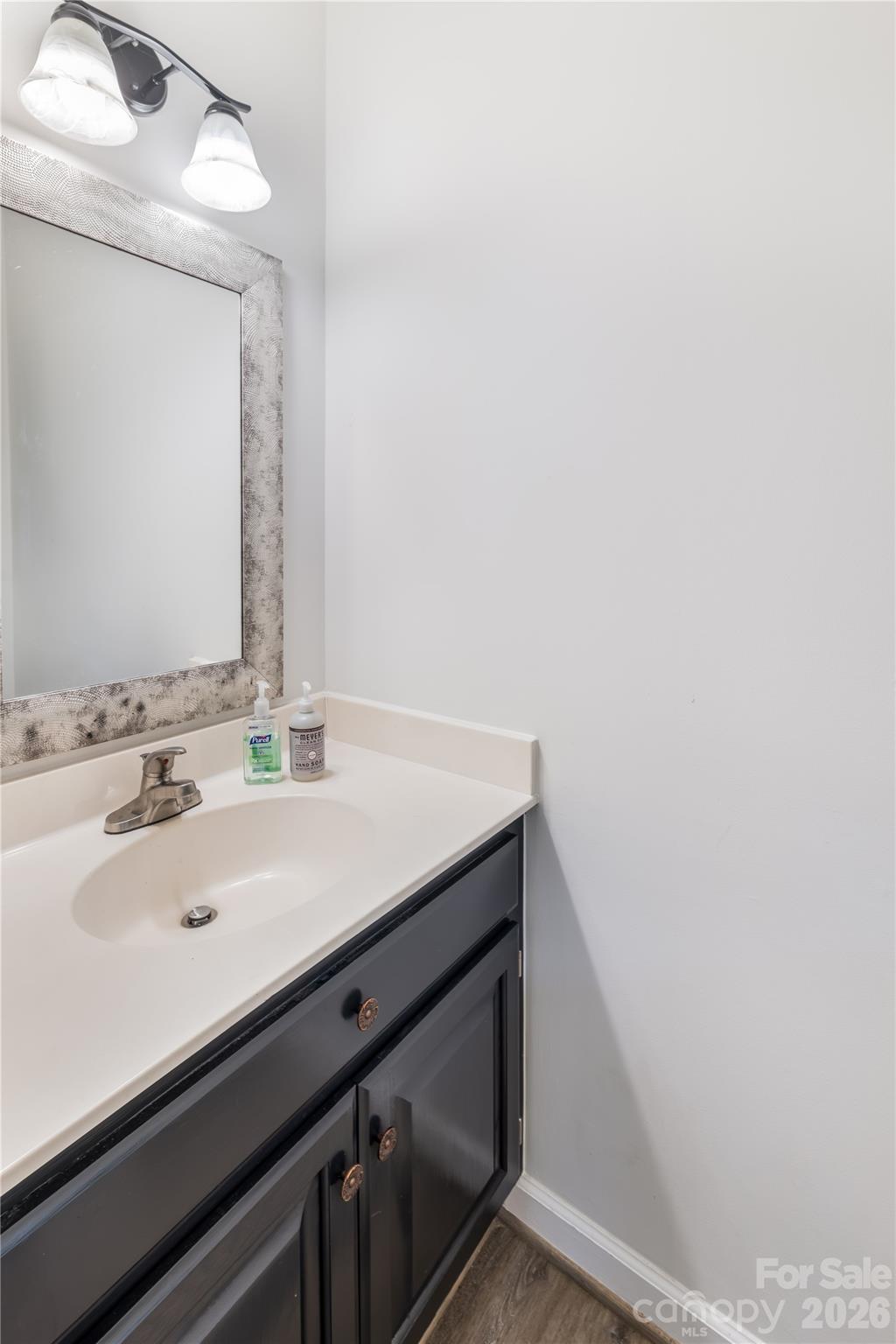 9800 Furlong Trail — Charlotte