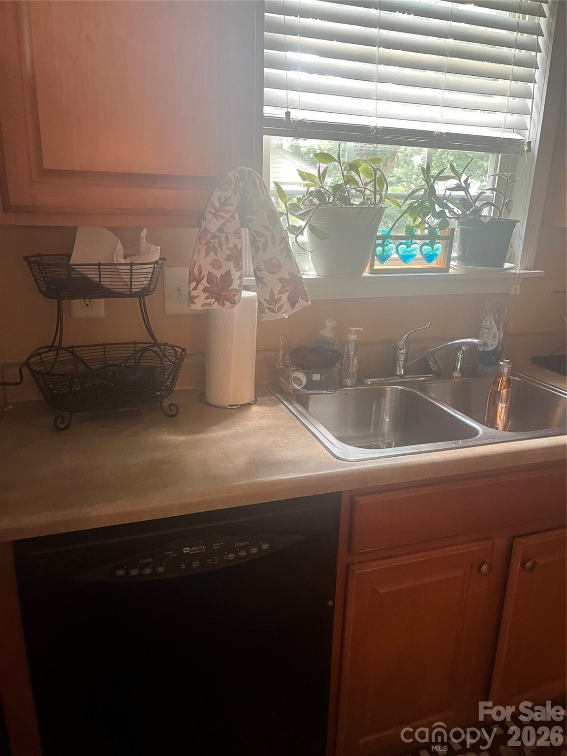 3024 Mayer House Court — Charlotte