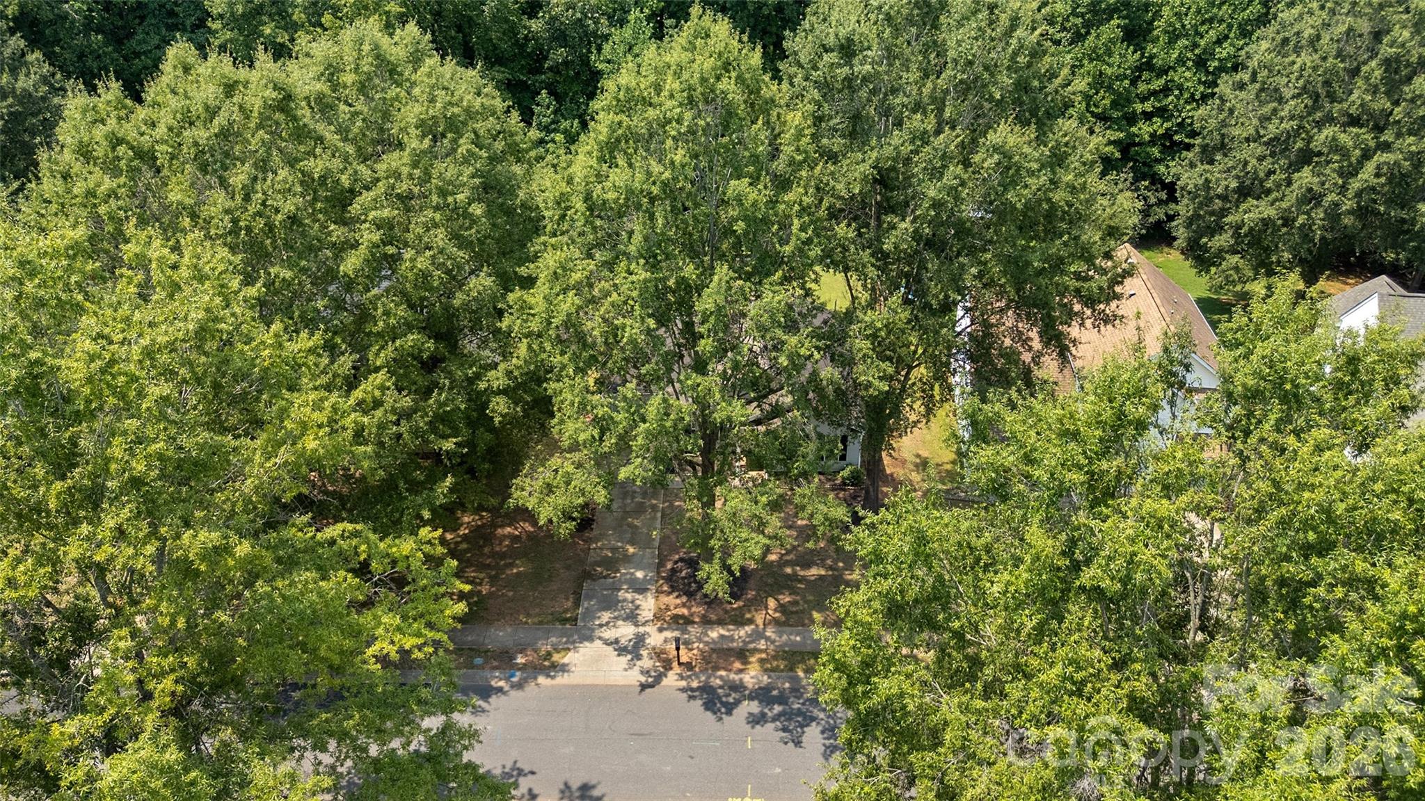 8019 Shiny Meadow Lane — Charlotte