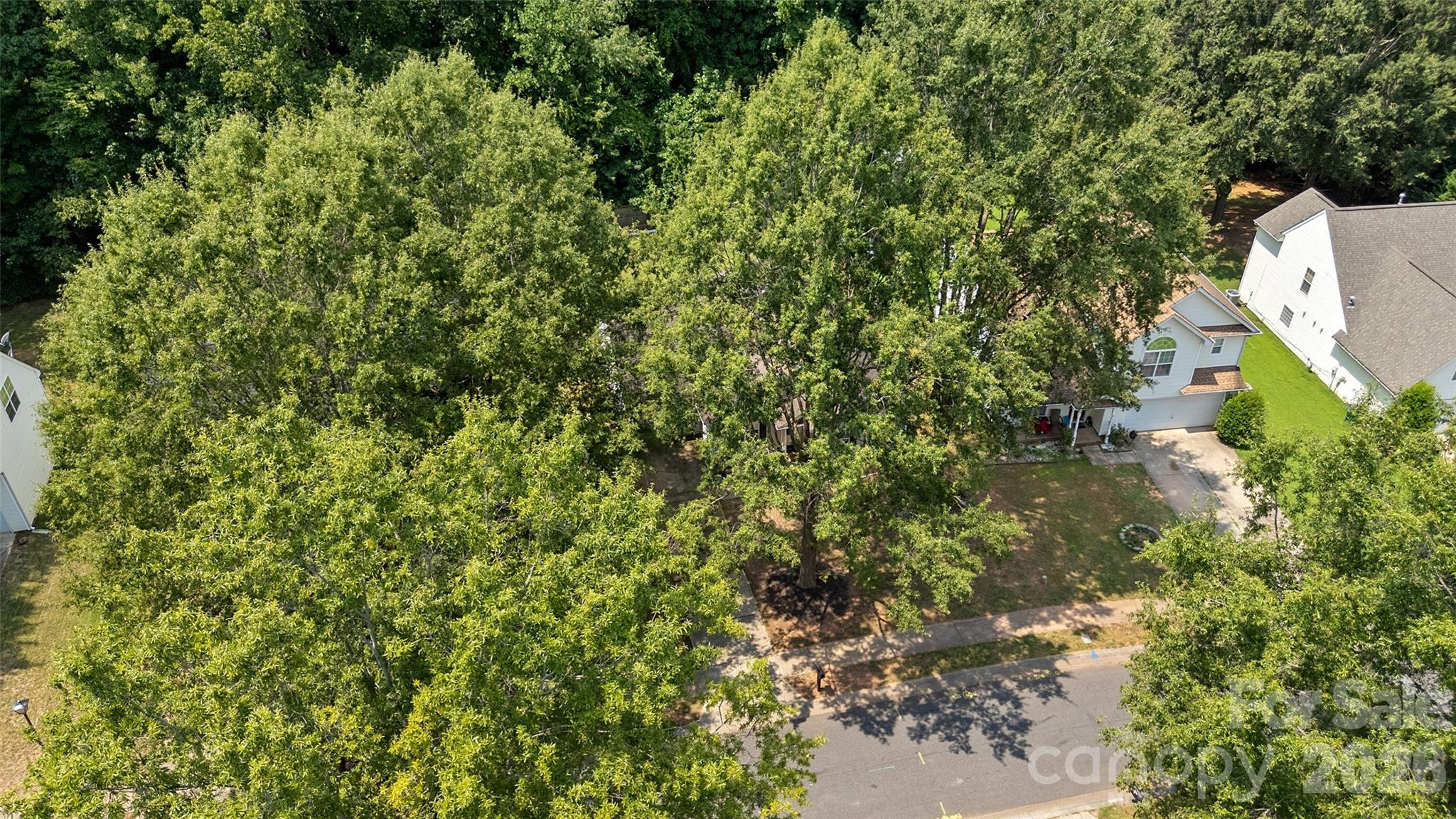 8019 Shiny Meadow Lane — Charlotte