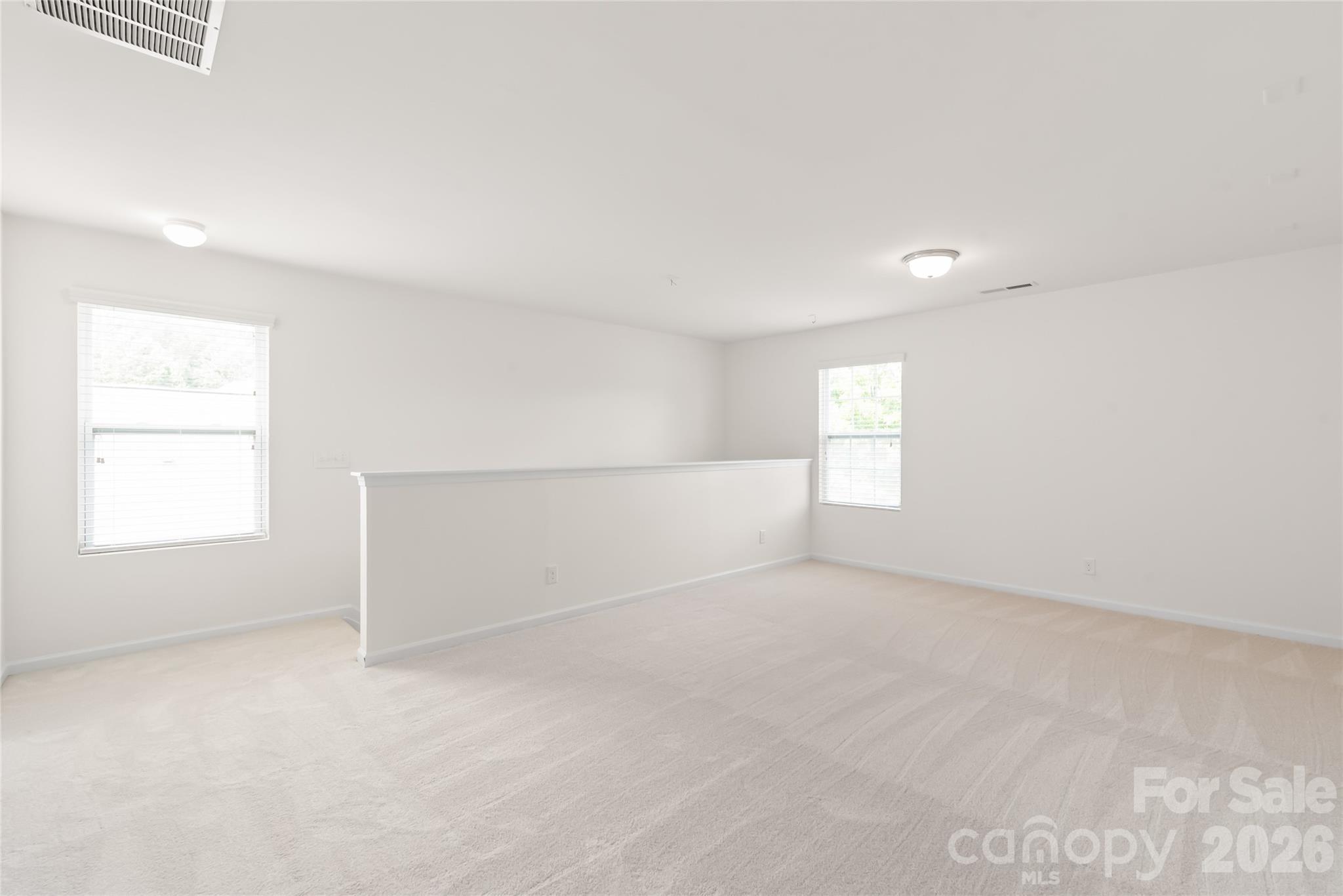 8411 Romana Red Lane — Charlotte