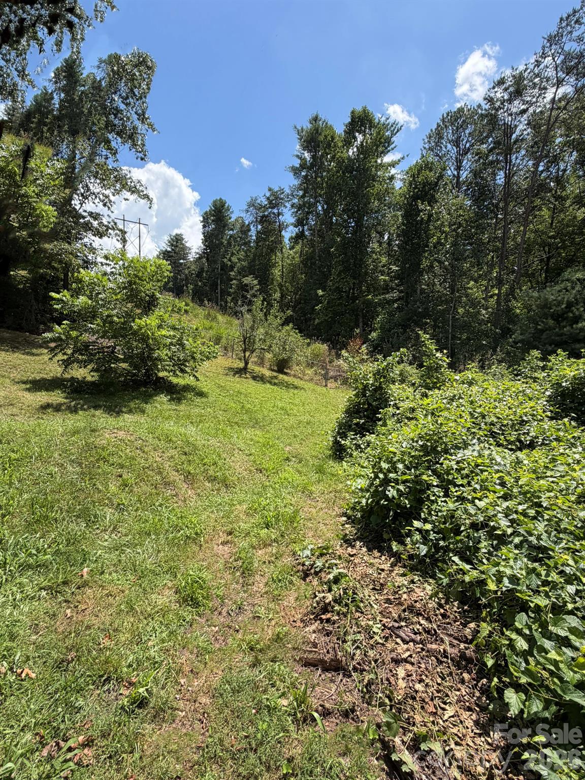 142 Avondale Road — Asheville