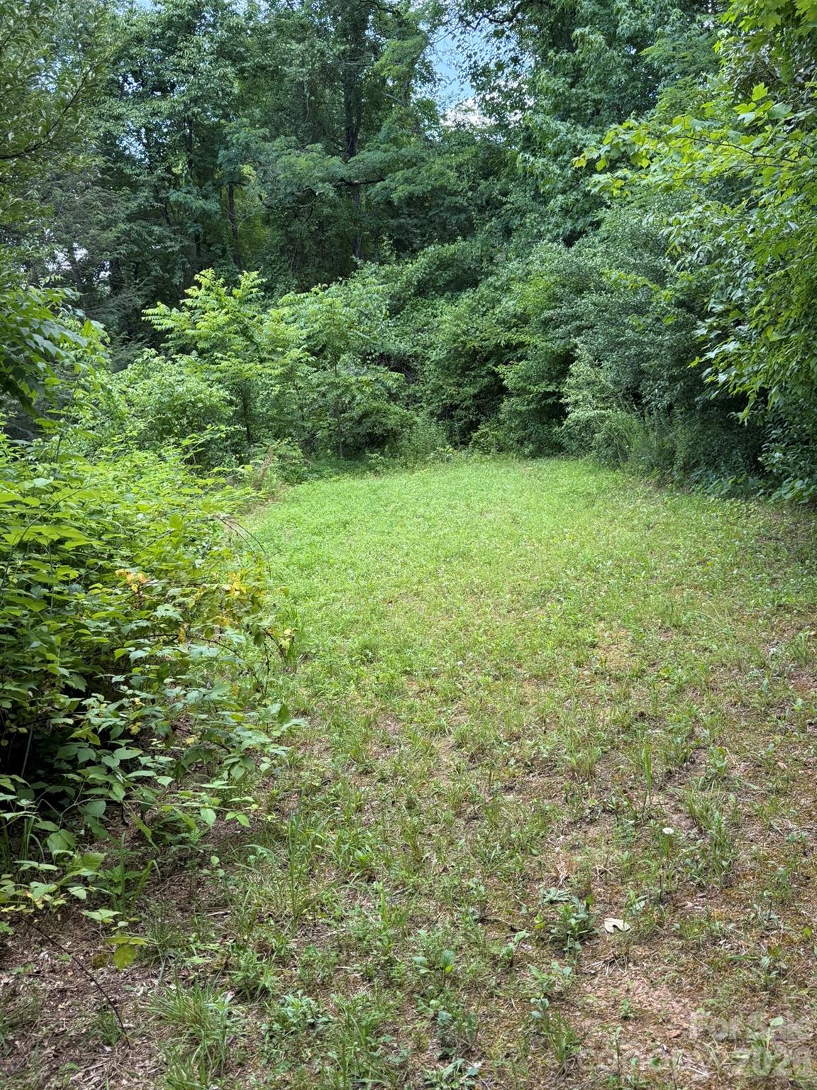 142 Avondale Road — Asheville