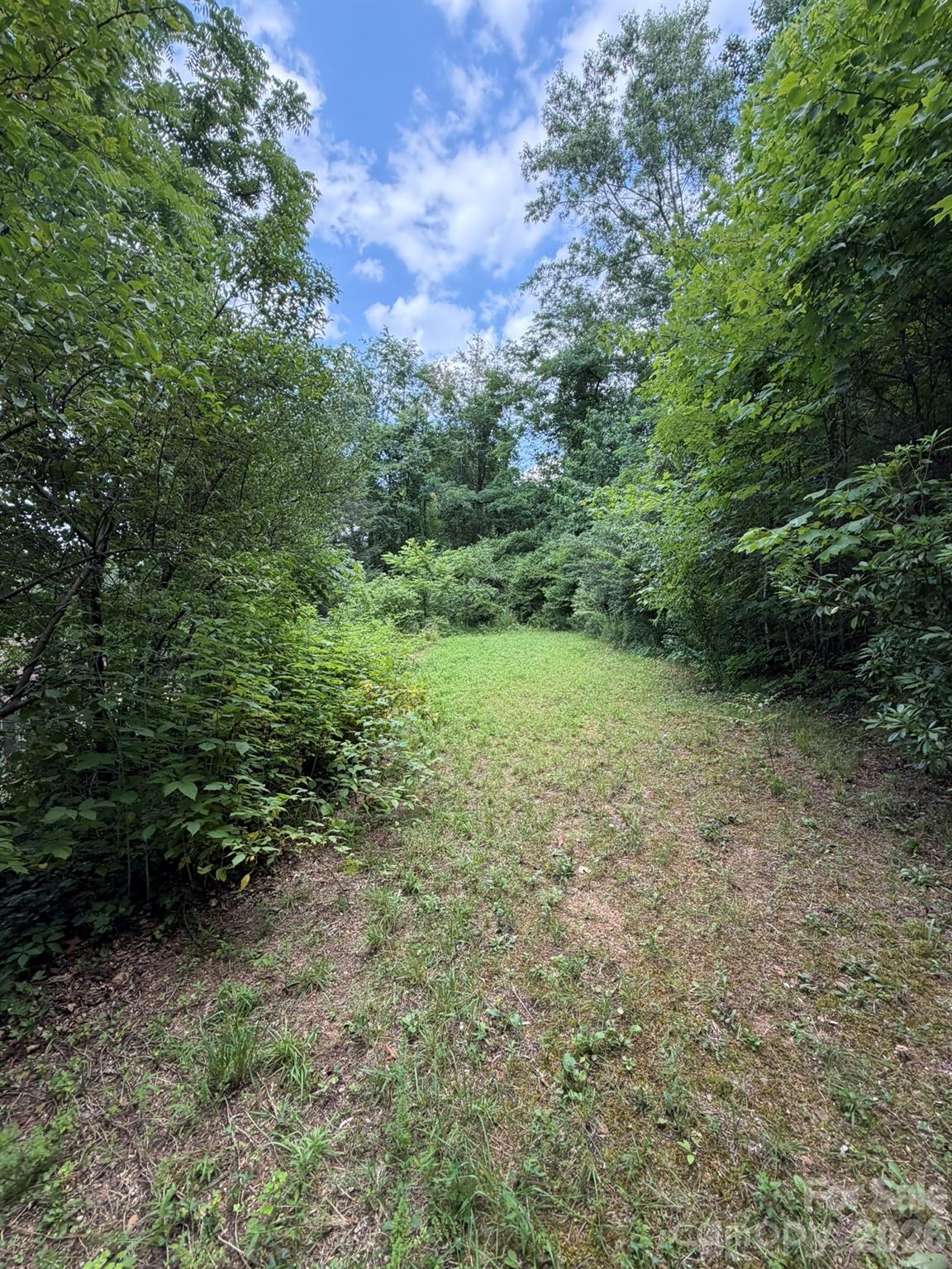 142 Avondale Road — Asheville