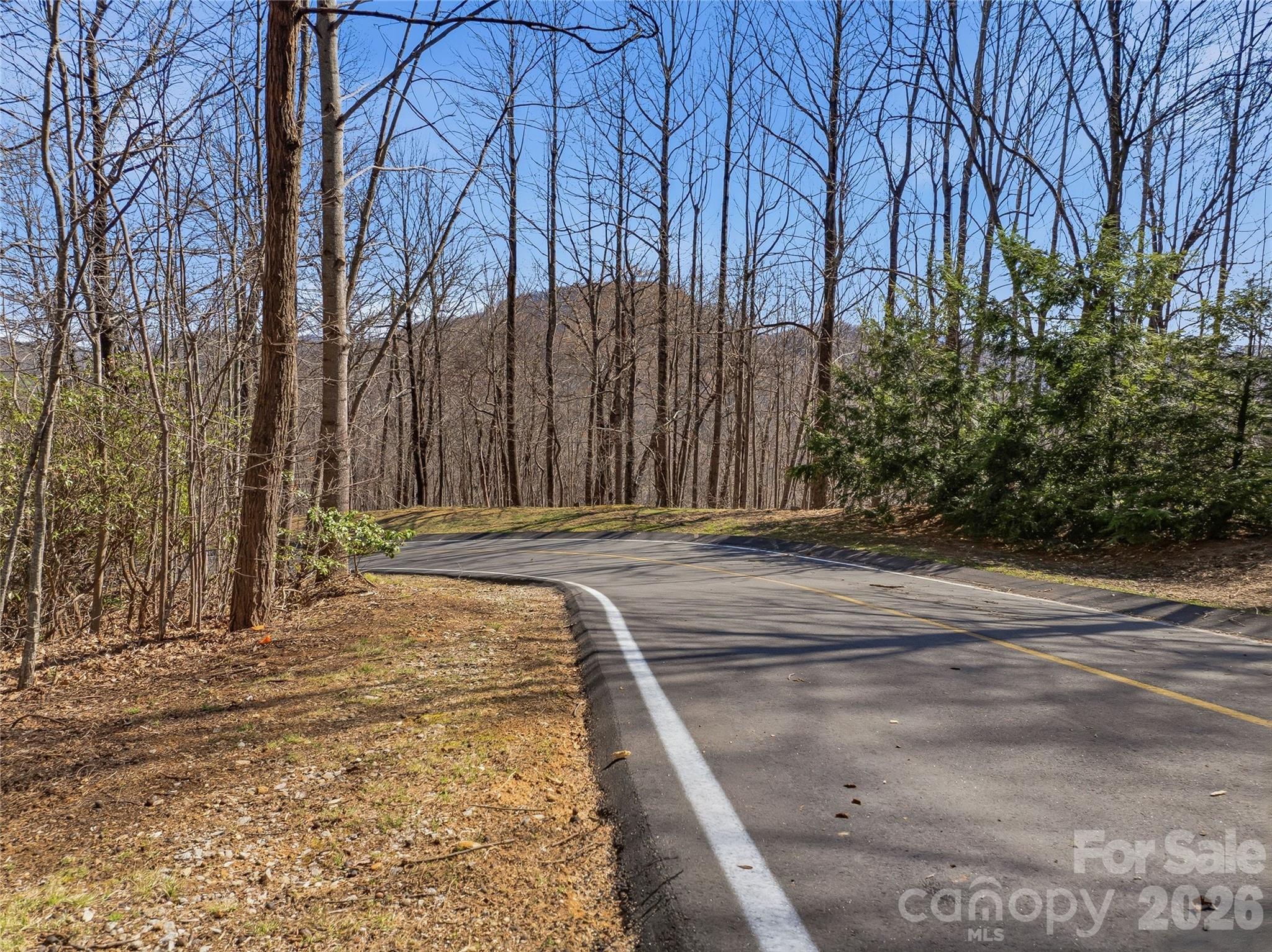 0000 Panther Mountain Road #18 — Zirconia