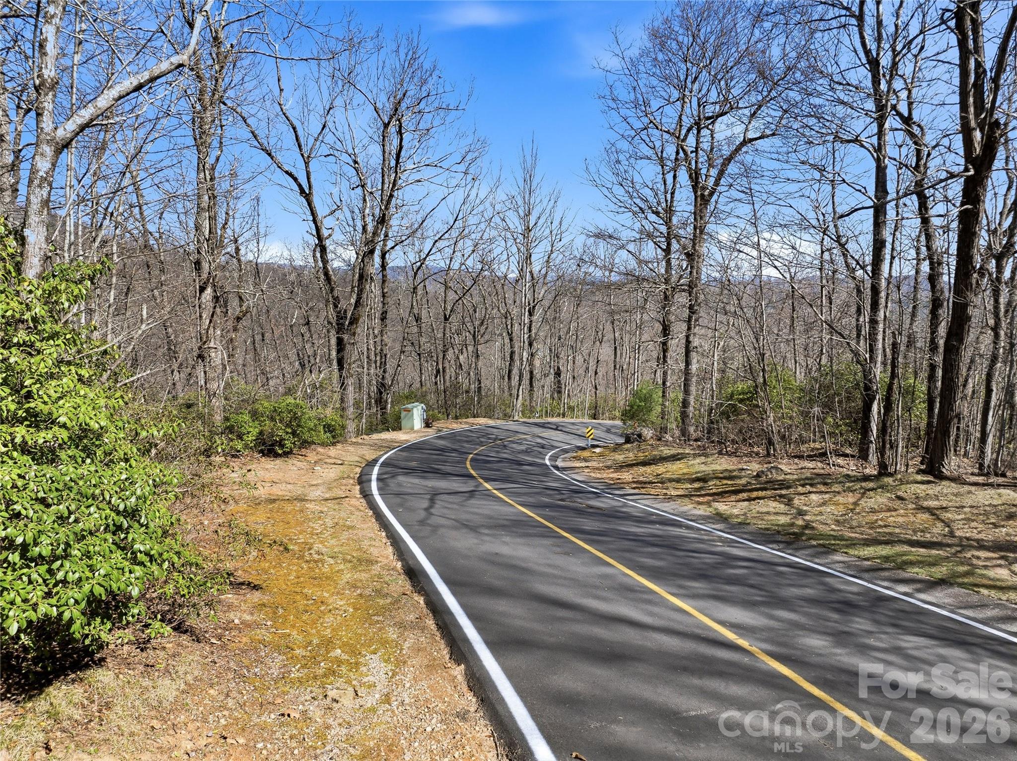 0000 Panther Mountain Road #18 — Zirconia