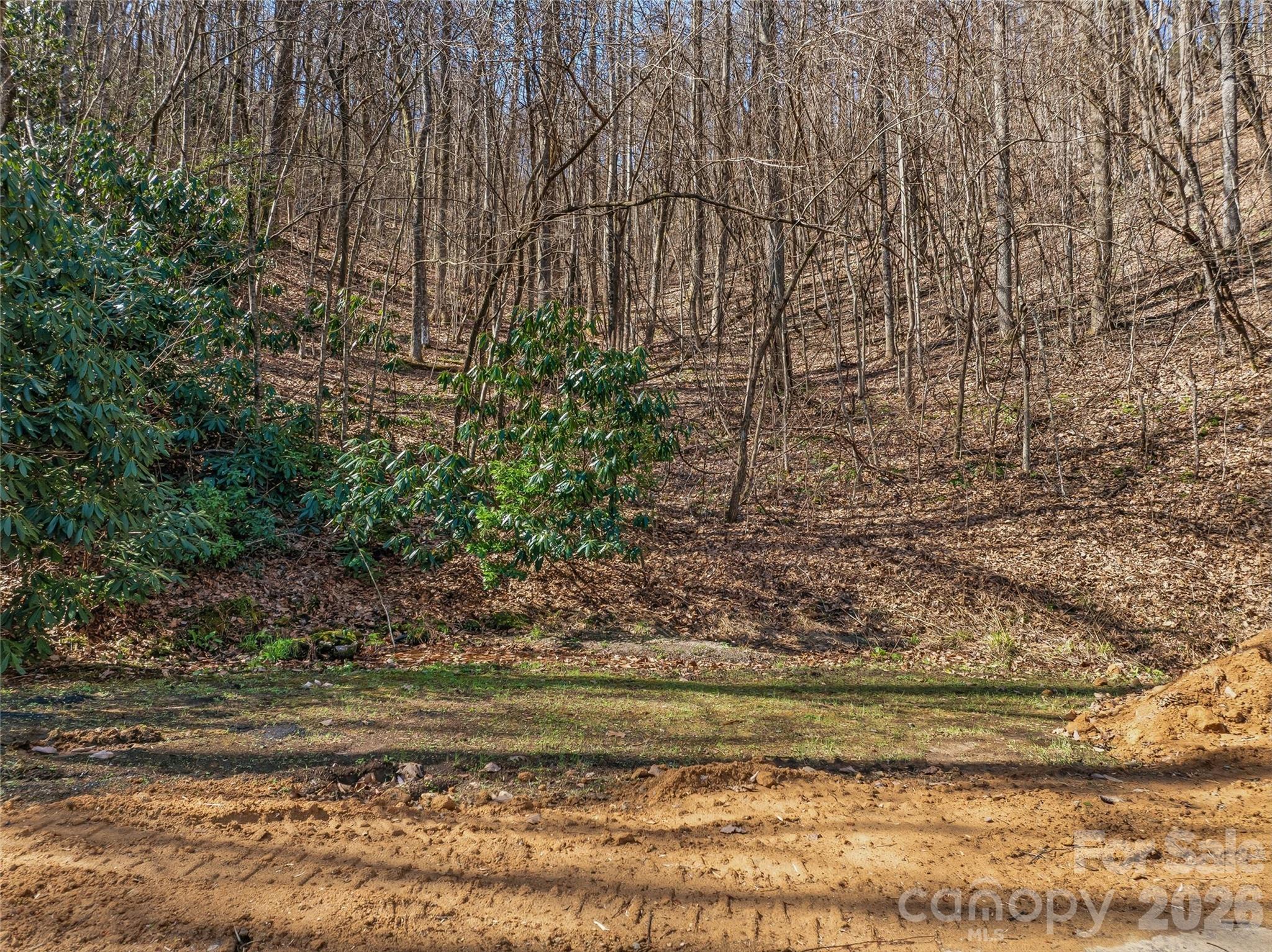 0000 Panther Mountain Road #18 — Zirconia