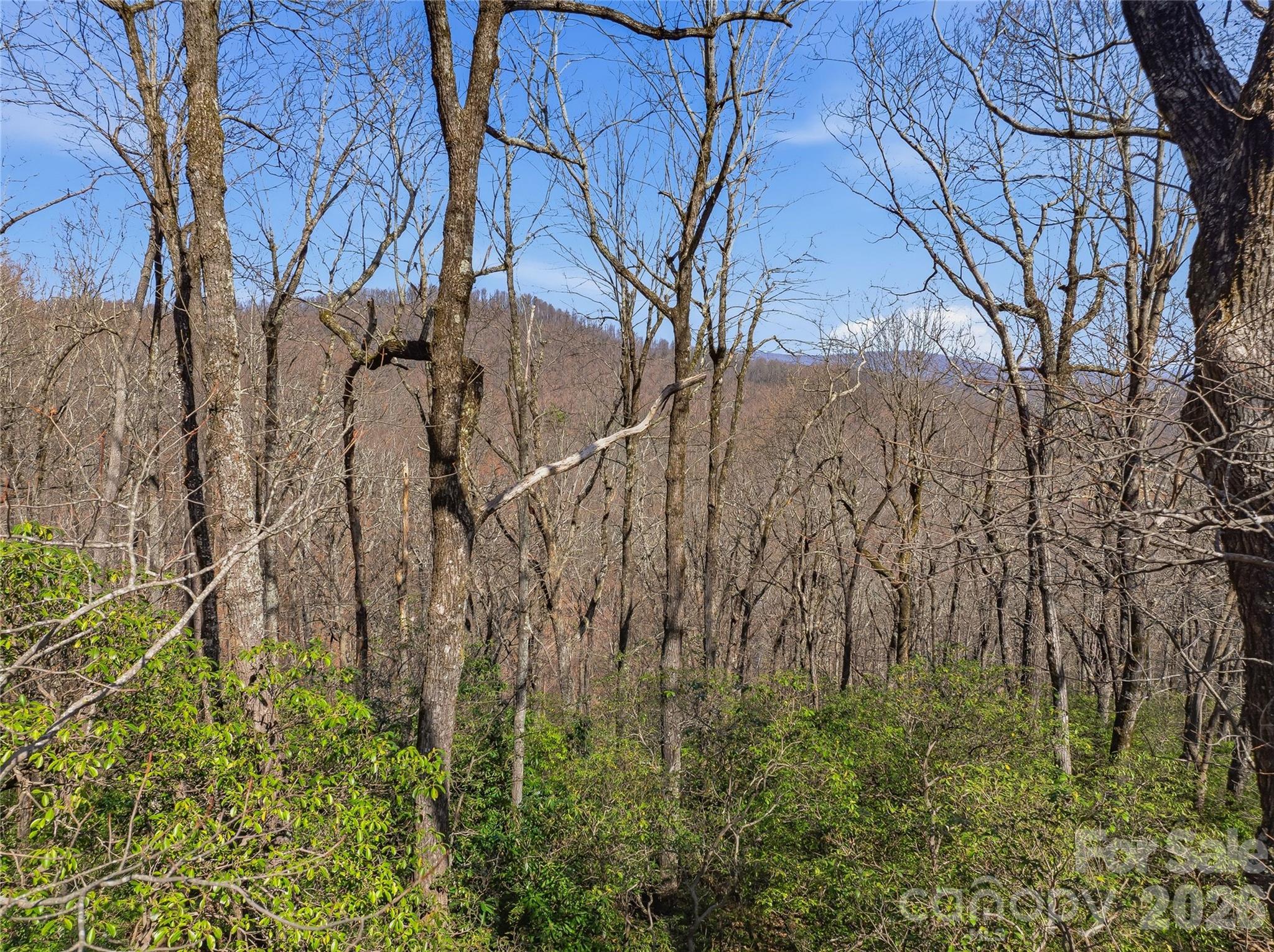 0000 Panther Mountain Road #18 — Zirconia