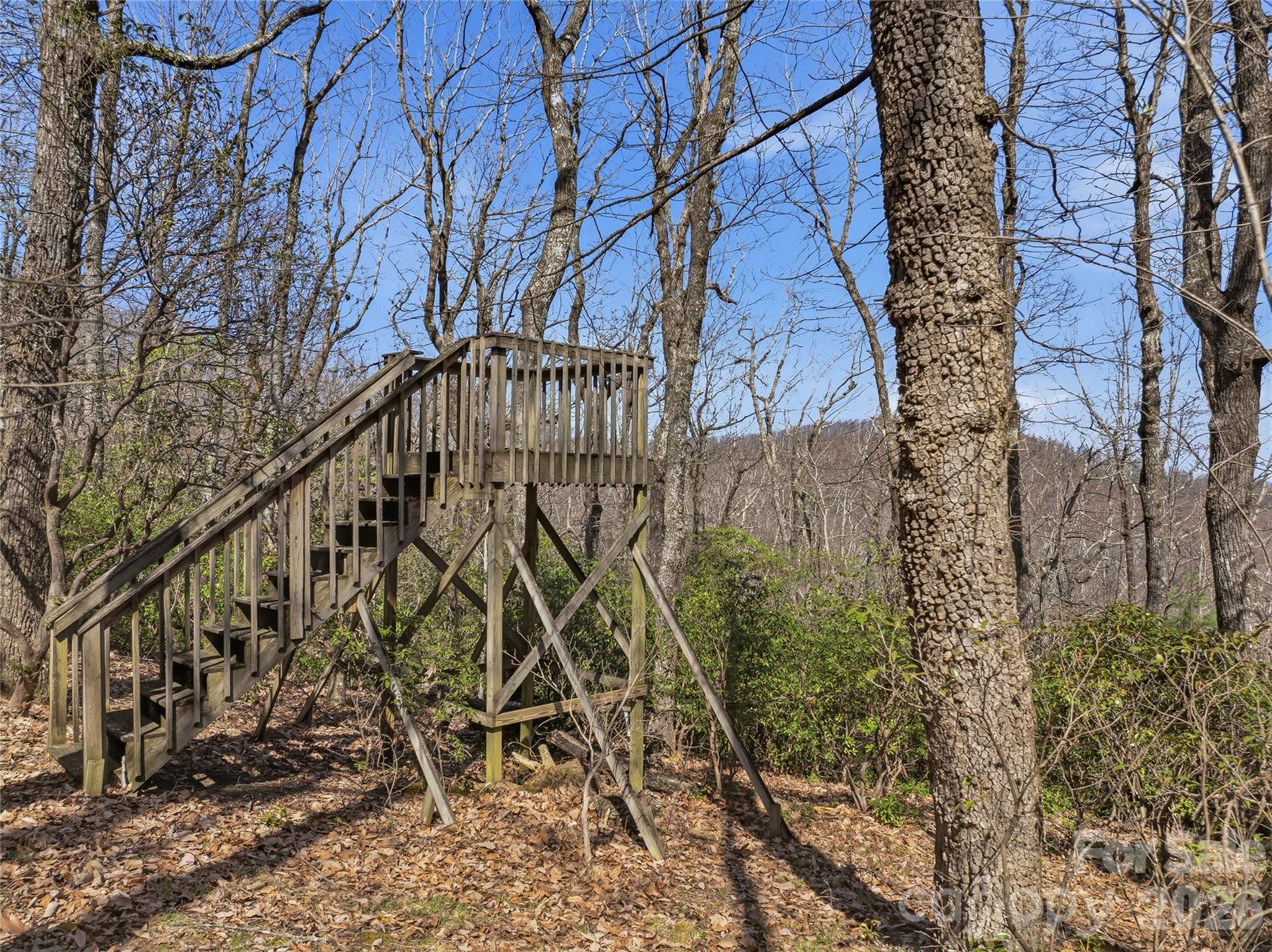 0000 Panther Mountain Road #18 — Zirconia
