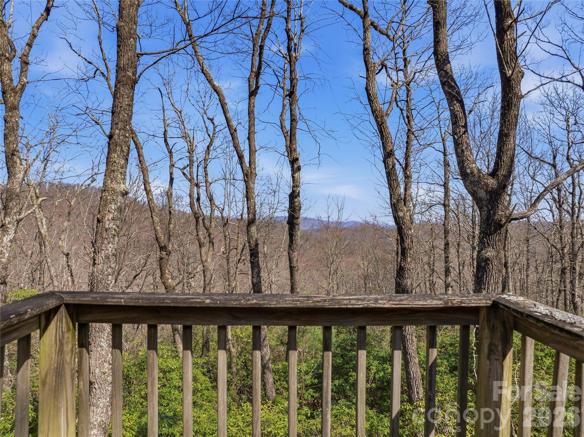 0000 Panther Mountain Road #18 — Zirconia