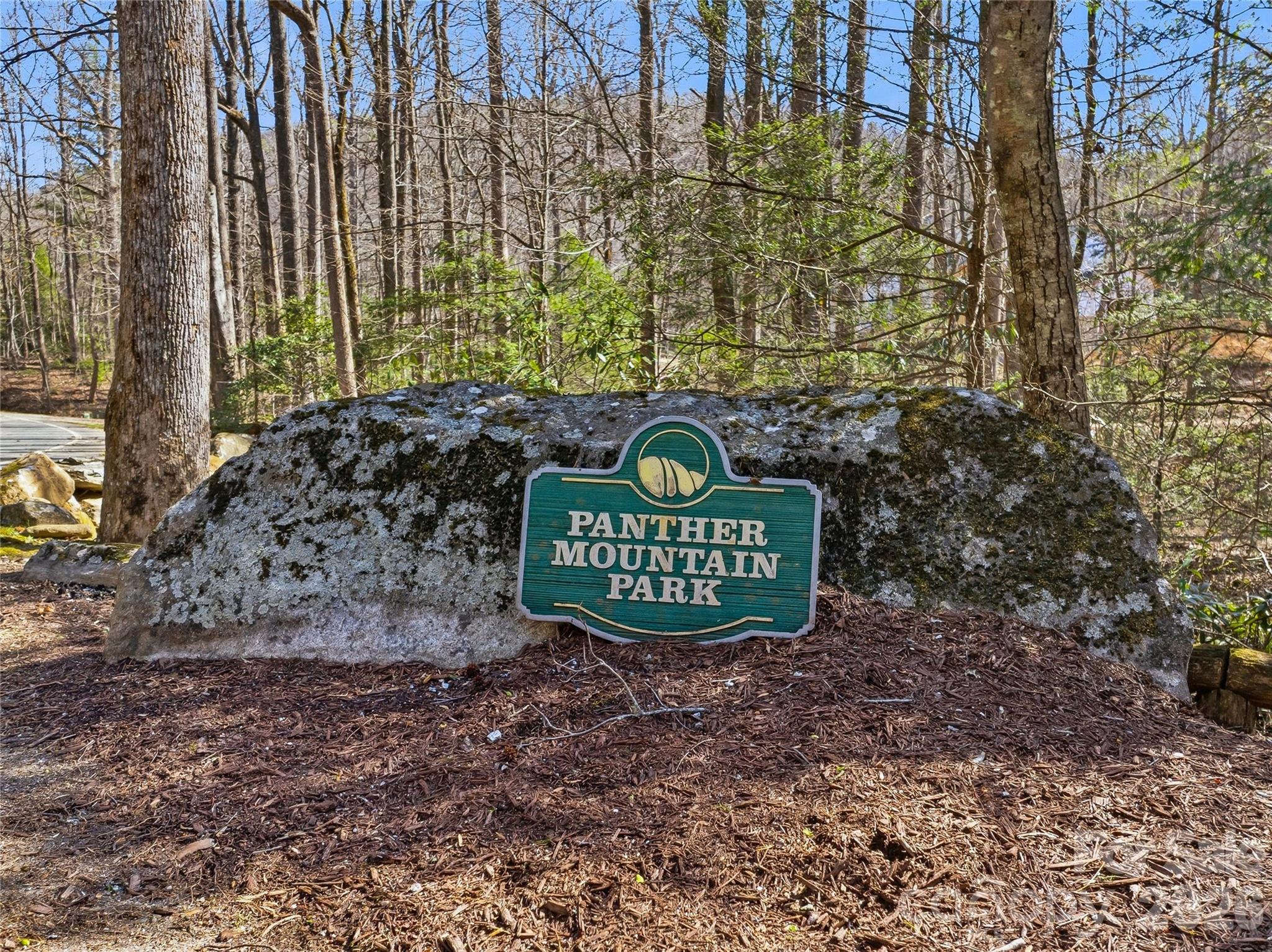 0000 Panther Mountain Road #18 — Zirconia