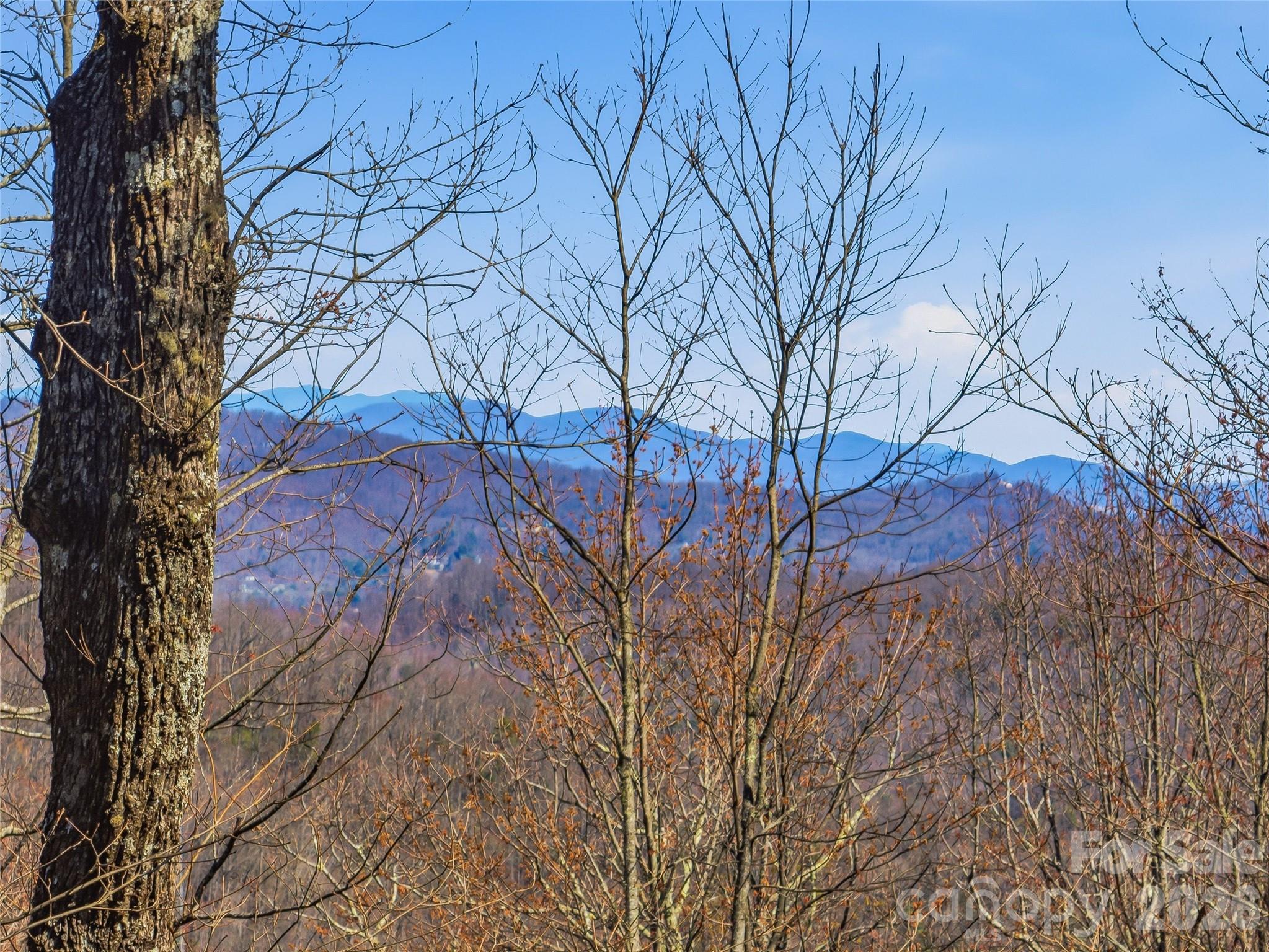 0000 Panther Mountain Road #18 — Zirconia