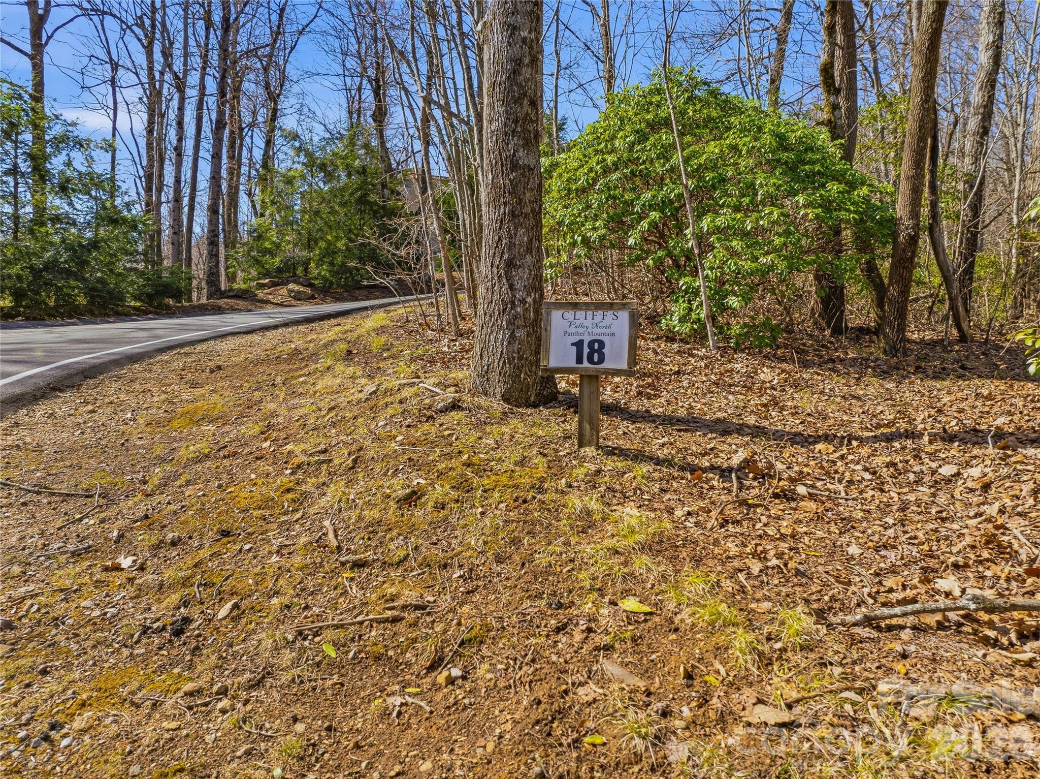 0000 Panther Mountain Road #18 — Zirconia