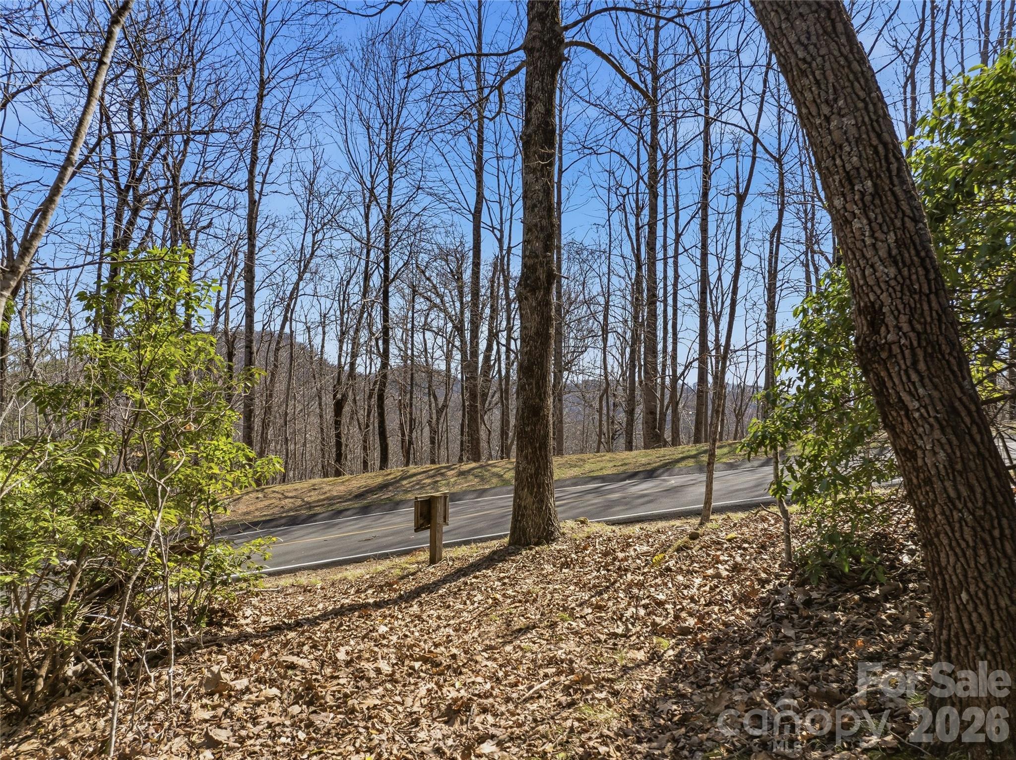 0000 Panther Mountain Road #18 — Zirconia