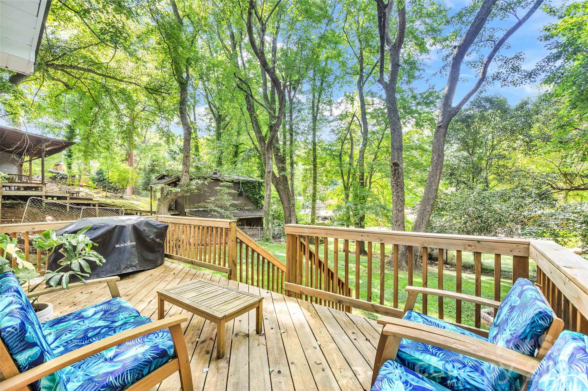2213 Lanier Avenue — Charlotte