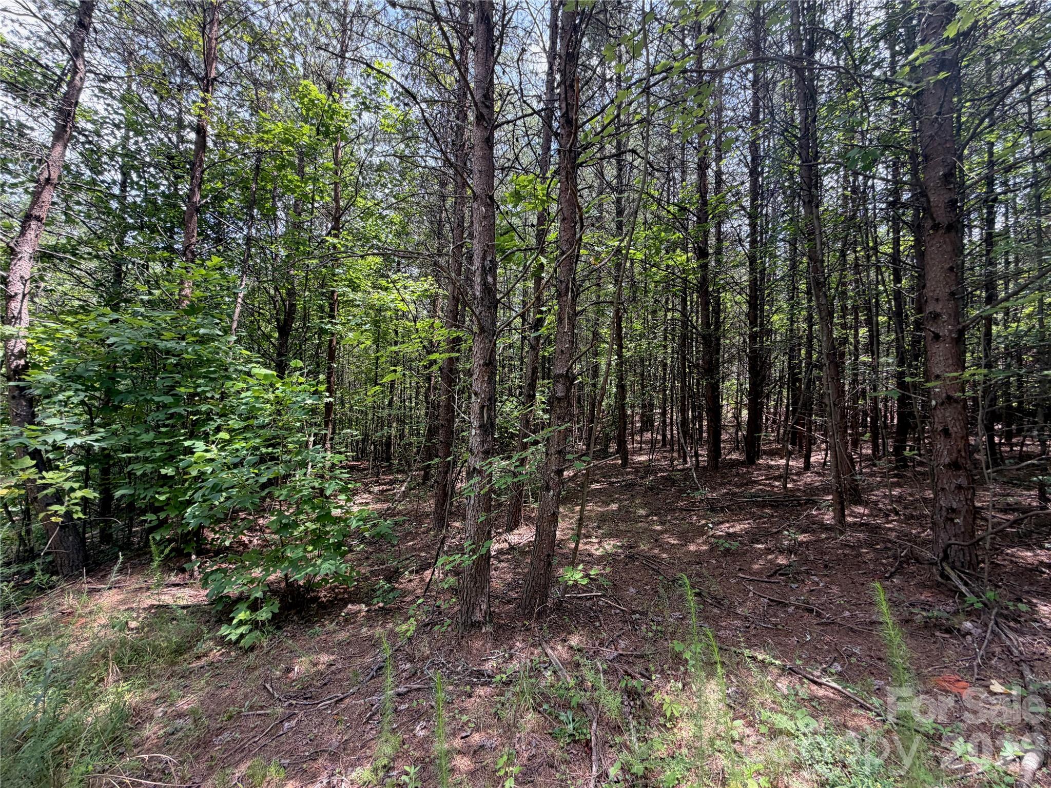 5022 Old NC 18 Highway — Connelly Springs