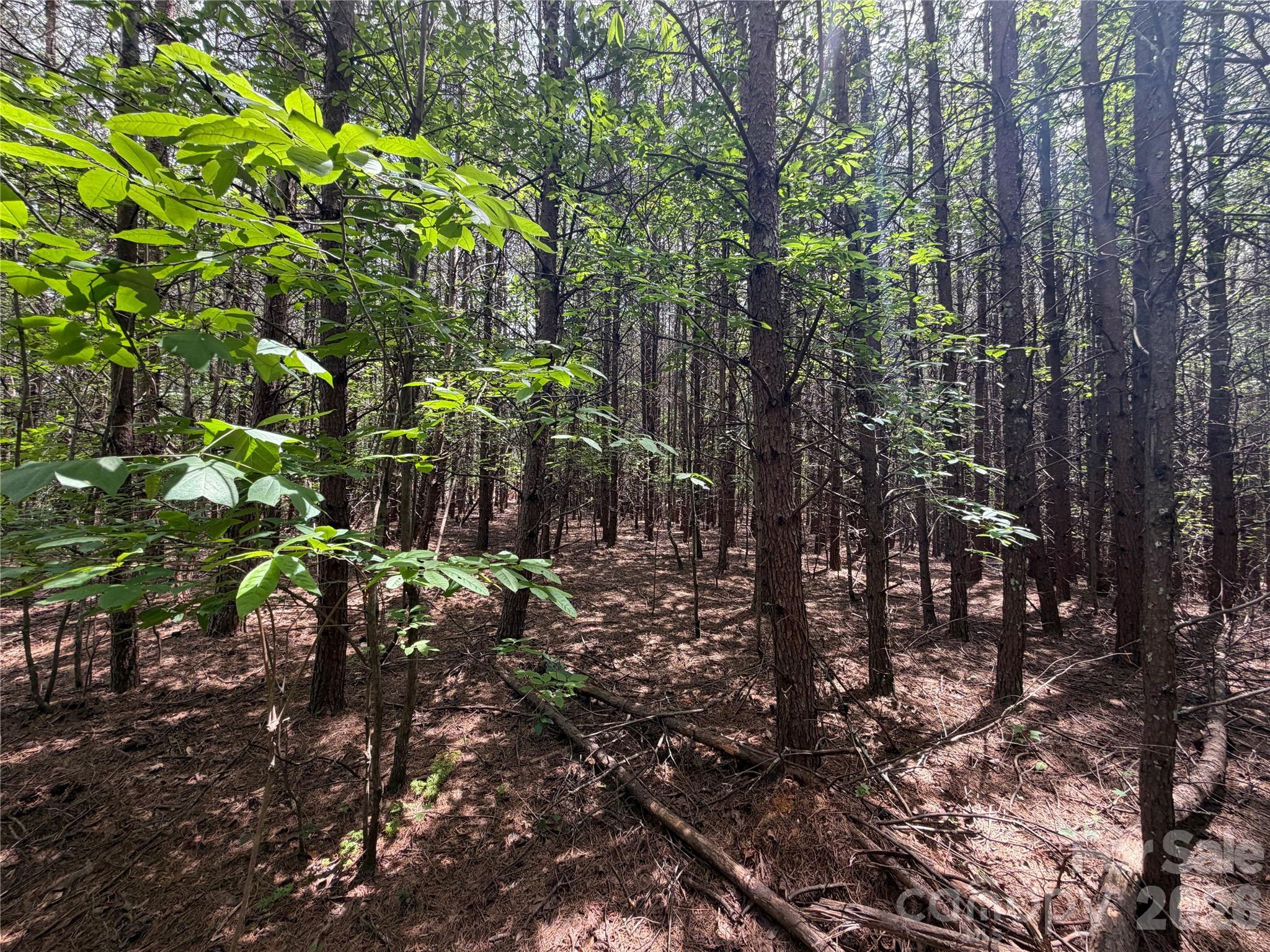 5022 Old NC 18 Highway — Connelly Springs