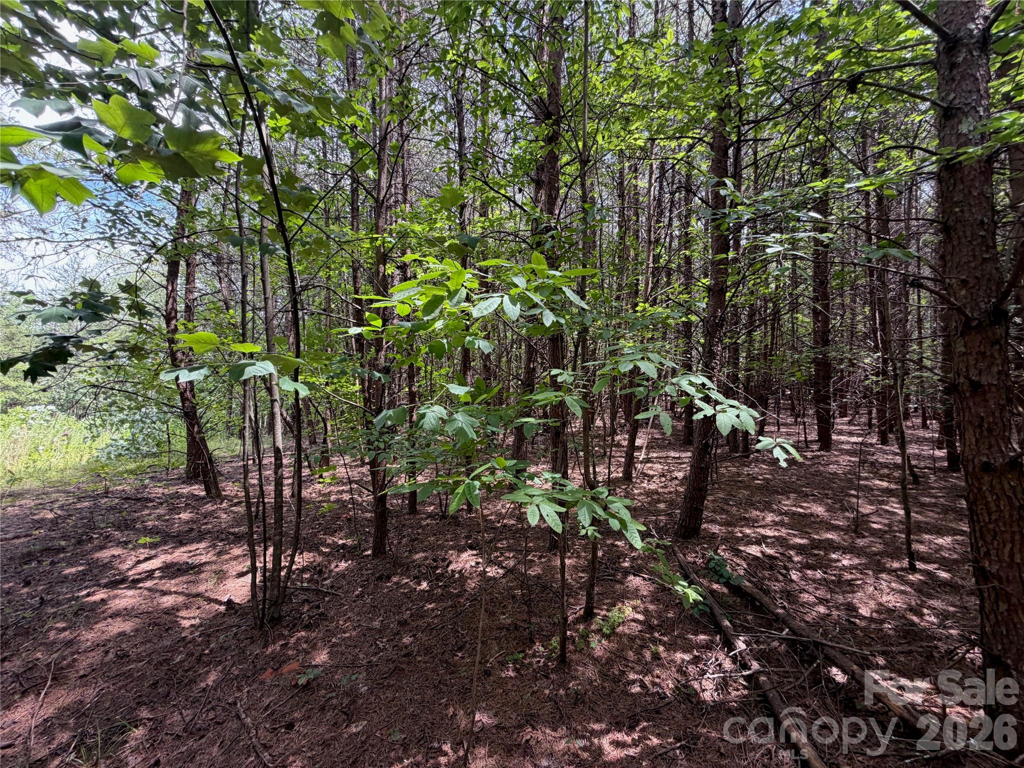5022 Old NC 18 Highway — Connelly Springs