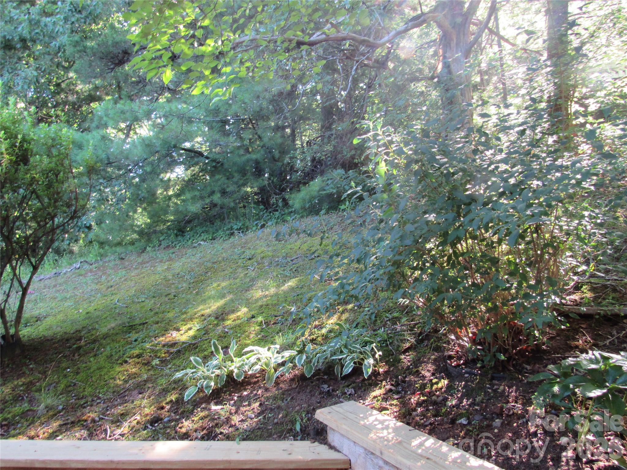 6 Woodlands Drive — Black Mountain