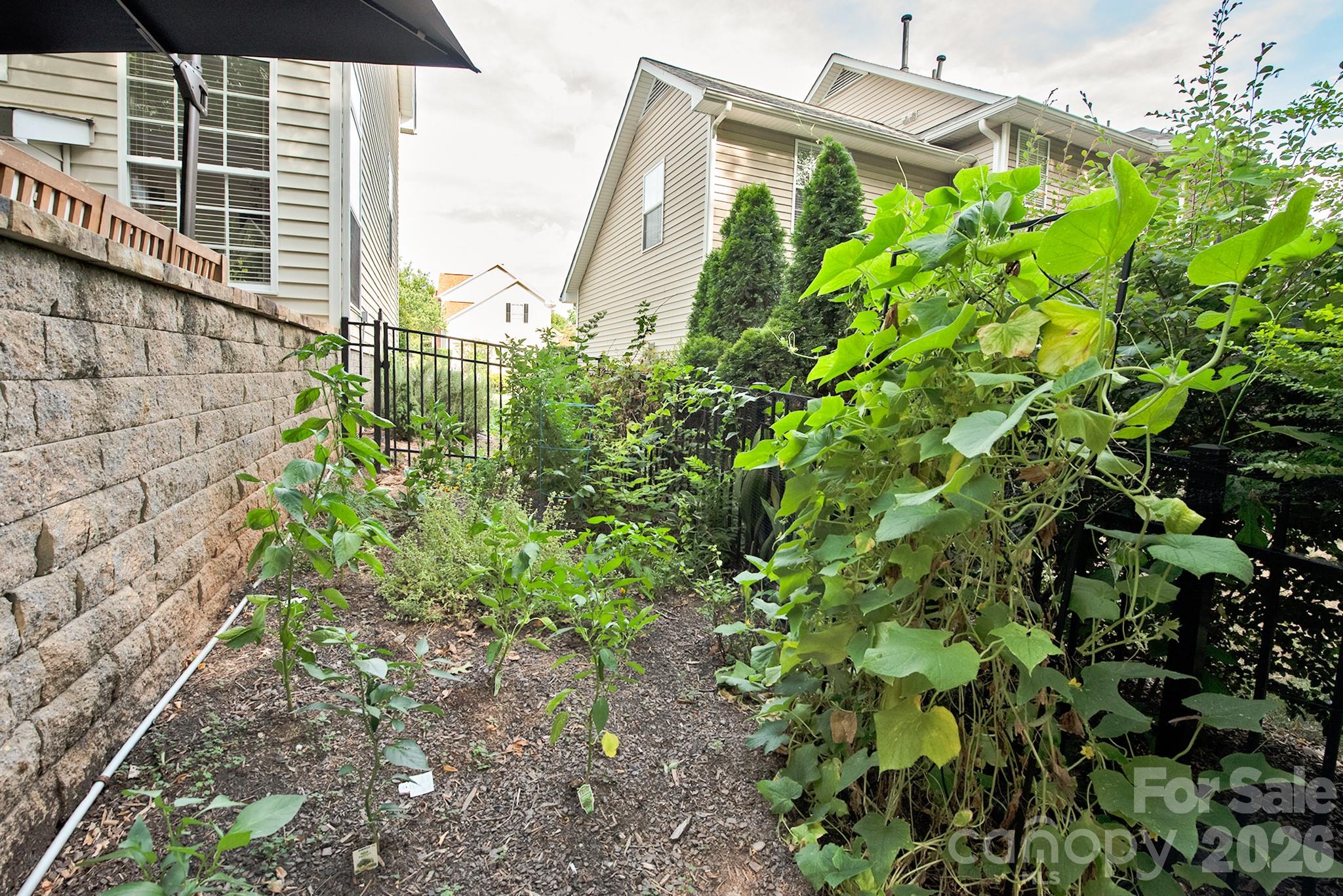 10912 Owl Nest Lane — Charlotte