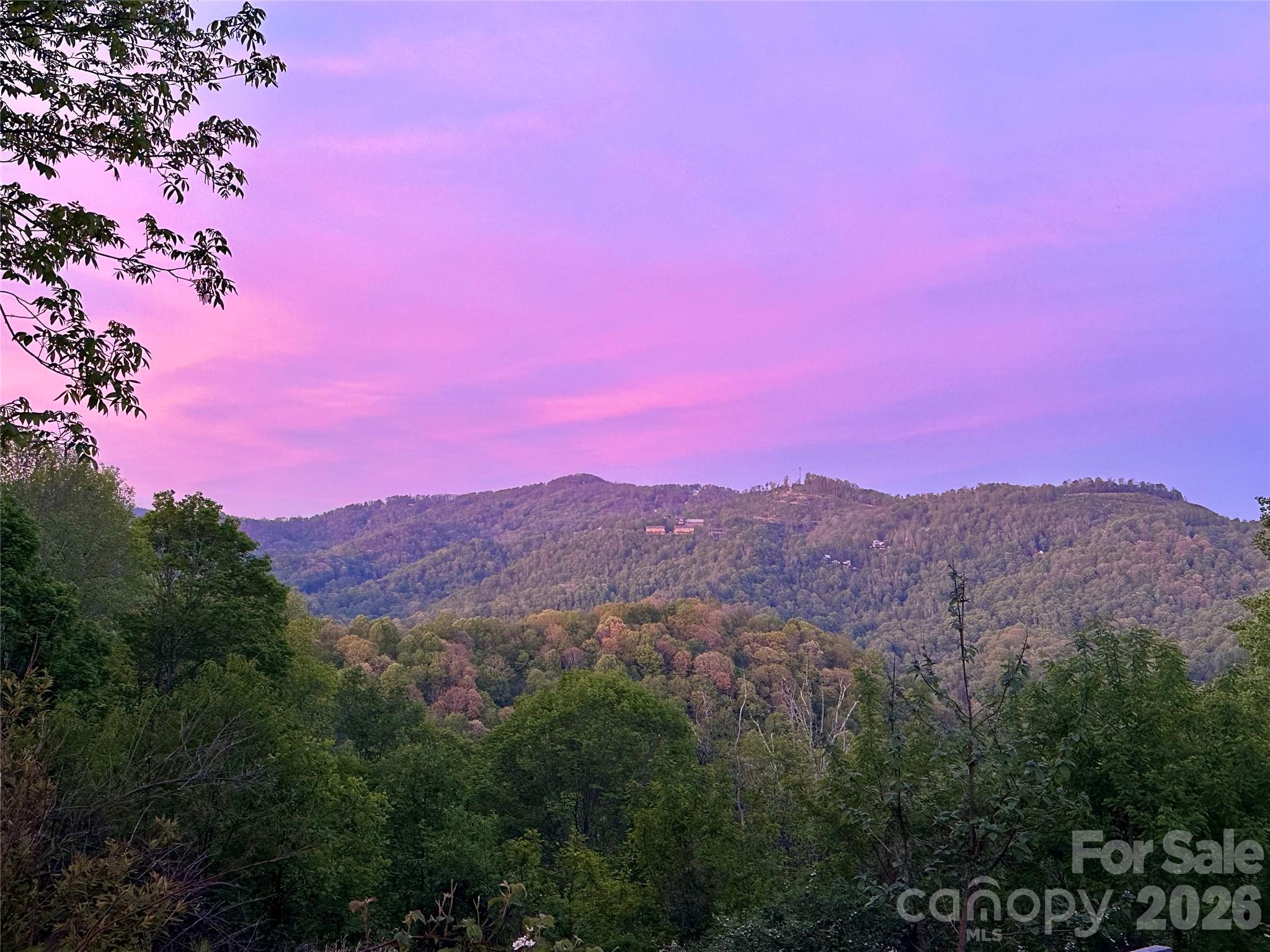 1185 & 1115 Black Bear Drive — Mars Hill
