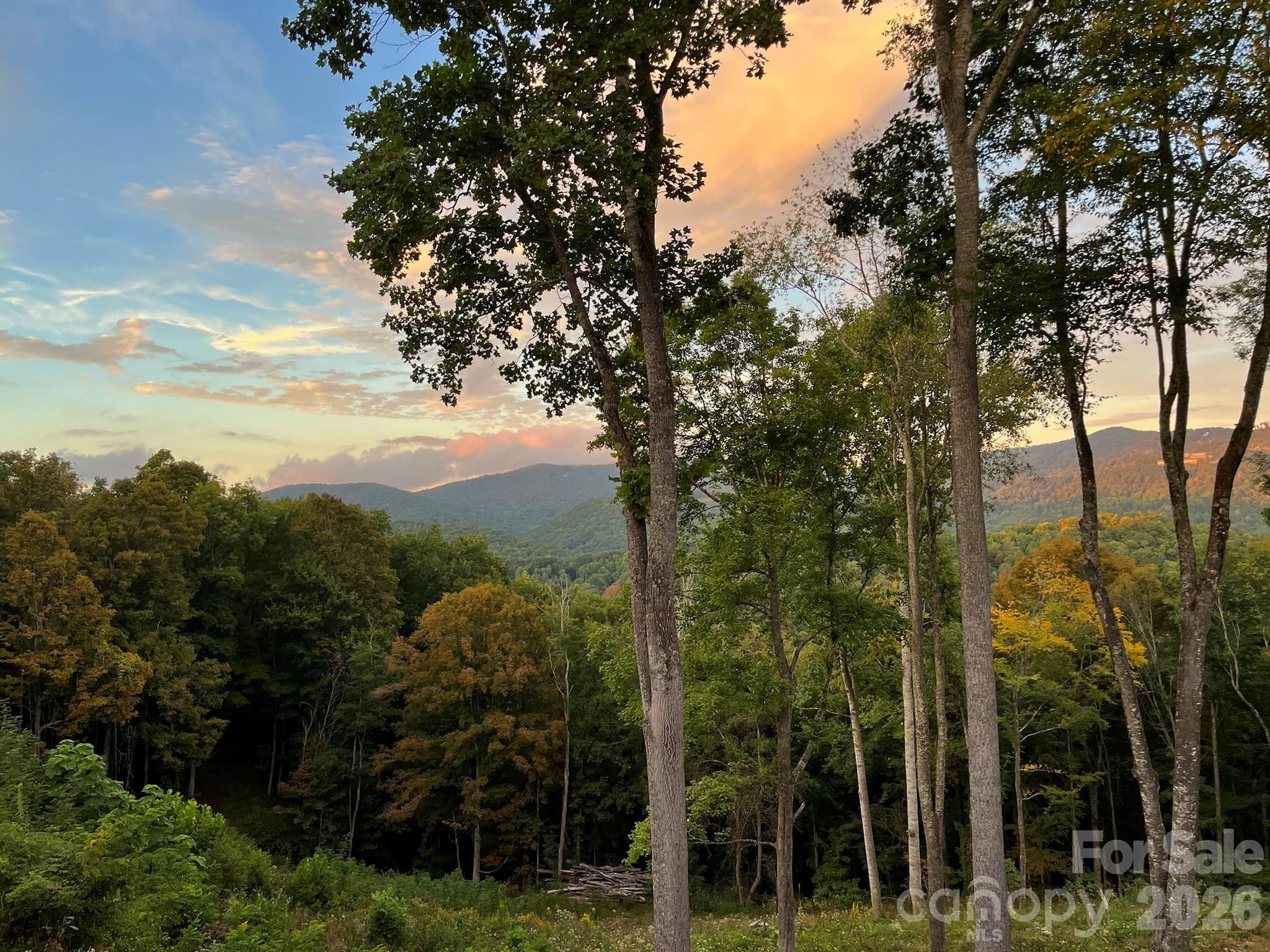 1185 & 1115 Black Bear Drive — Mars Hill