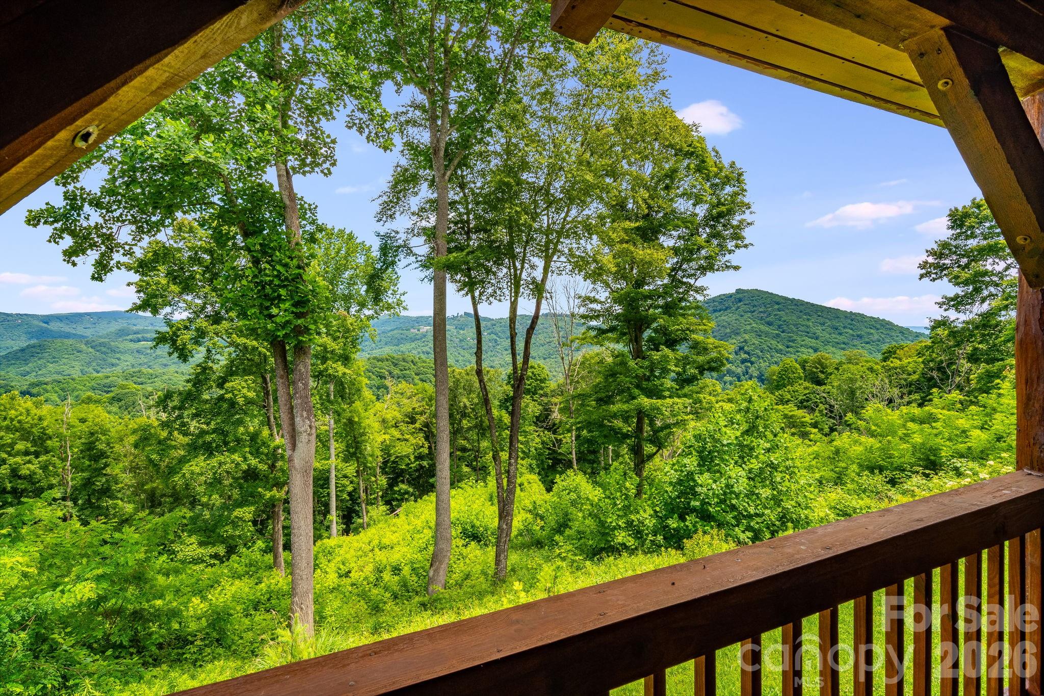 1185 & 1115 Black Bear Drive — Mars Hill