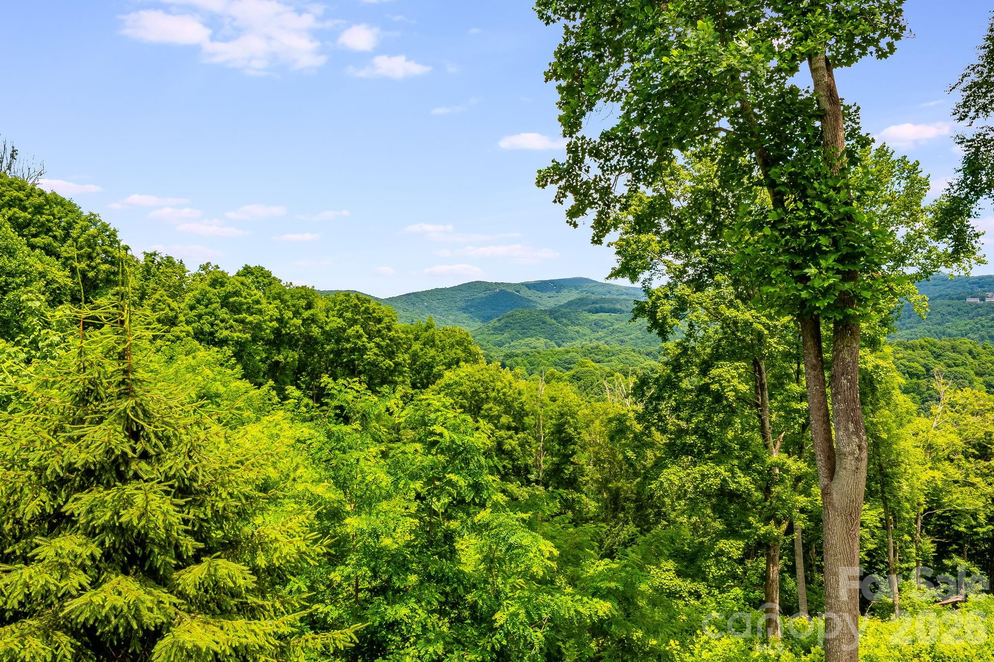 1185 & 1115 Black Bear Drive — Mars Hill