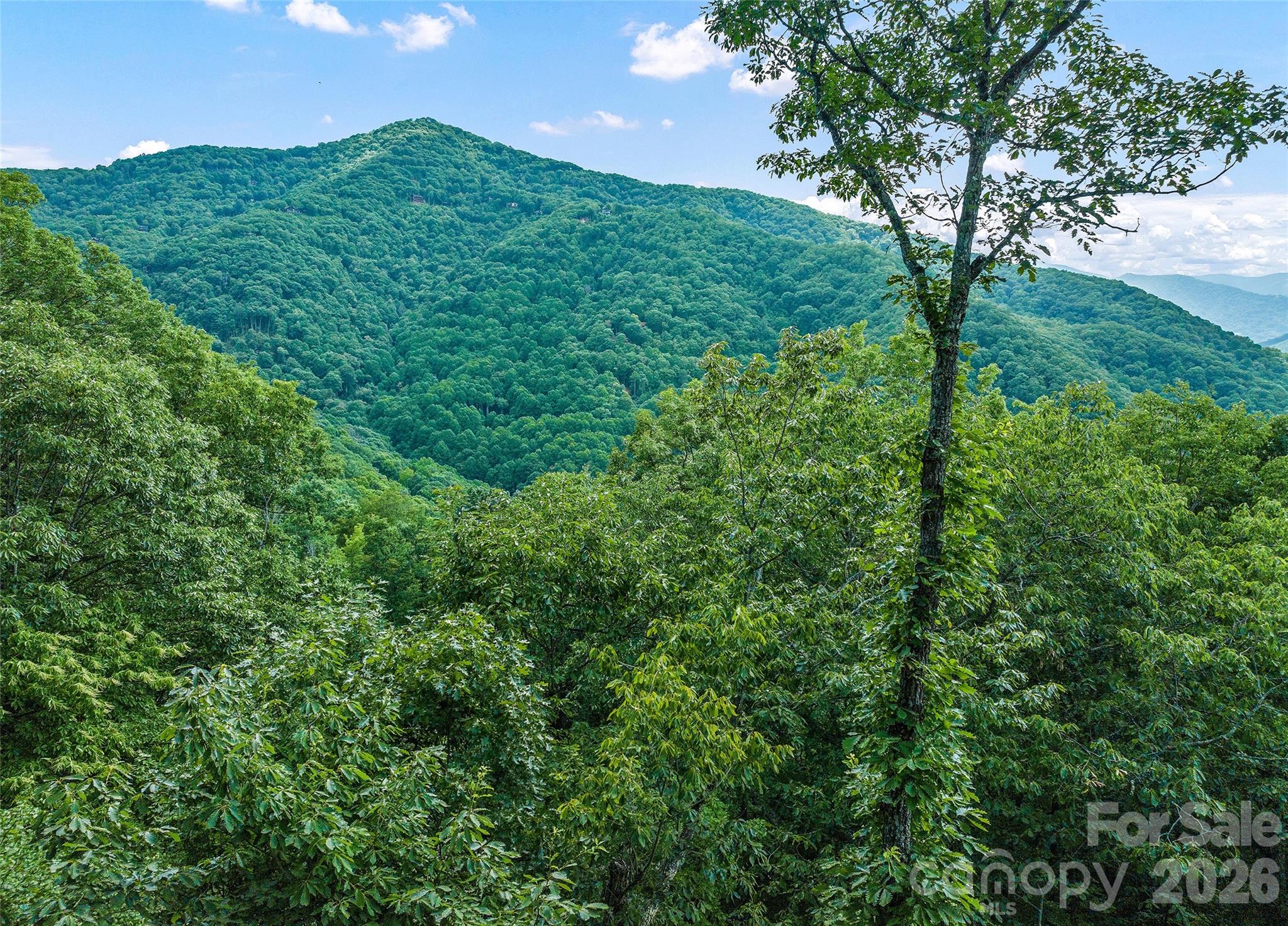 582 Tsalagi Trail — Maggie Valley